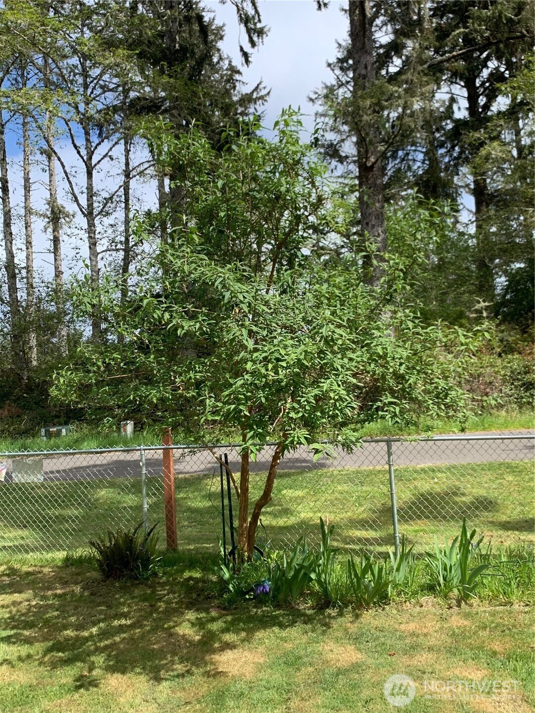 783 Evergreen Avenue Property Photo 3