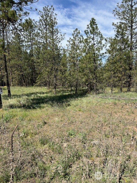 0 Rocky Ridge Road Property Photo 1