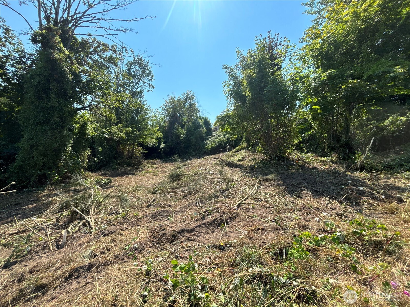 1117 13th Street Property Photo 5