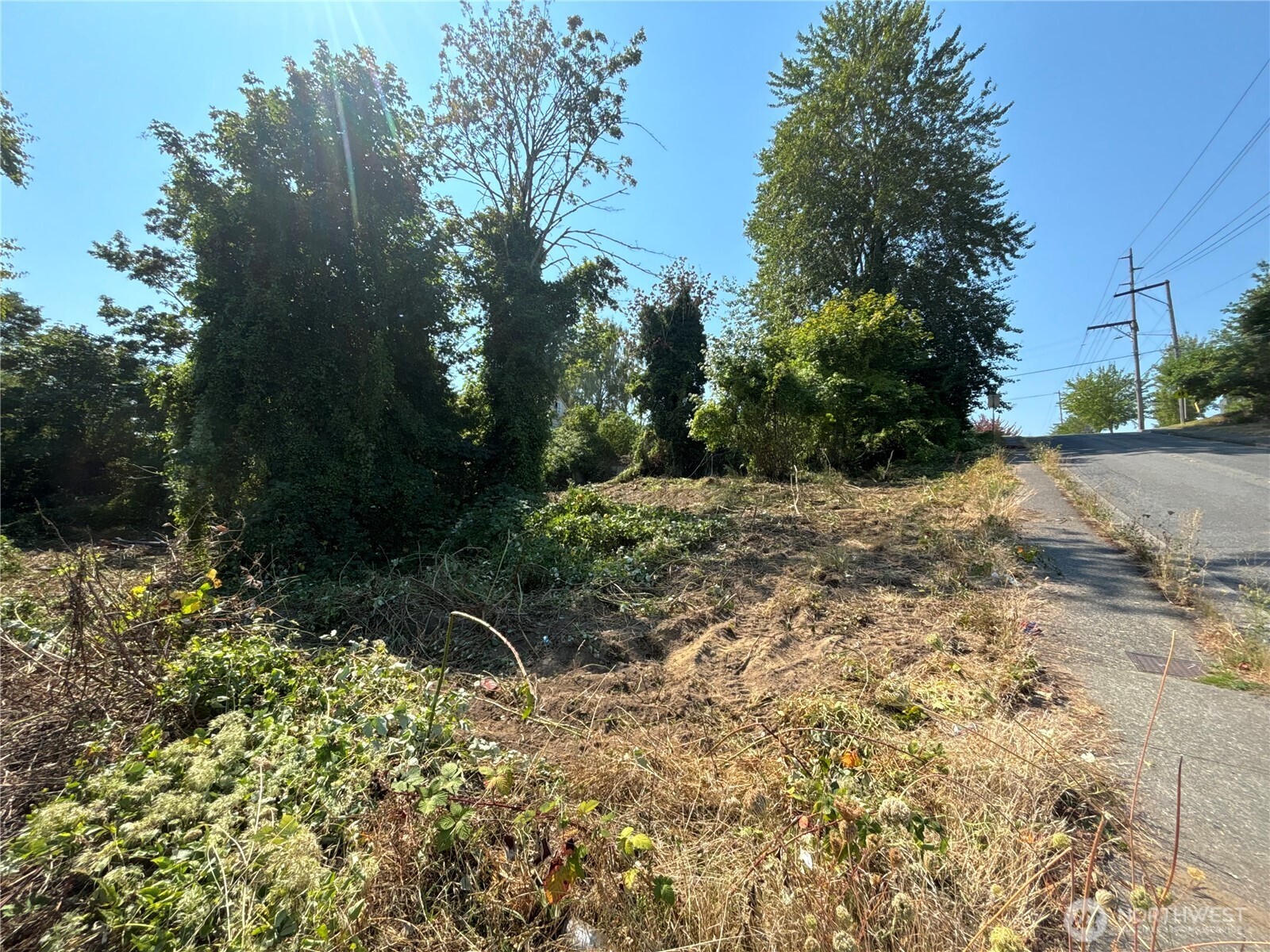 1117 13th Street Property Photo 6