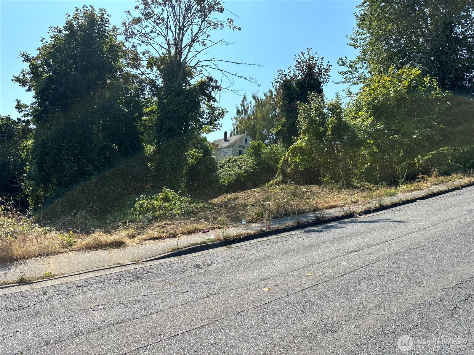 1117 13th Street Property Photo 7