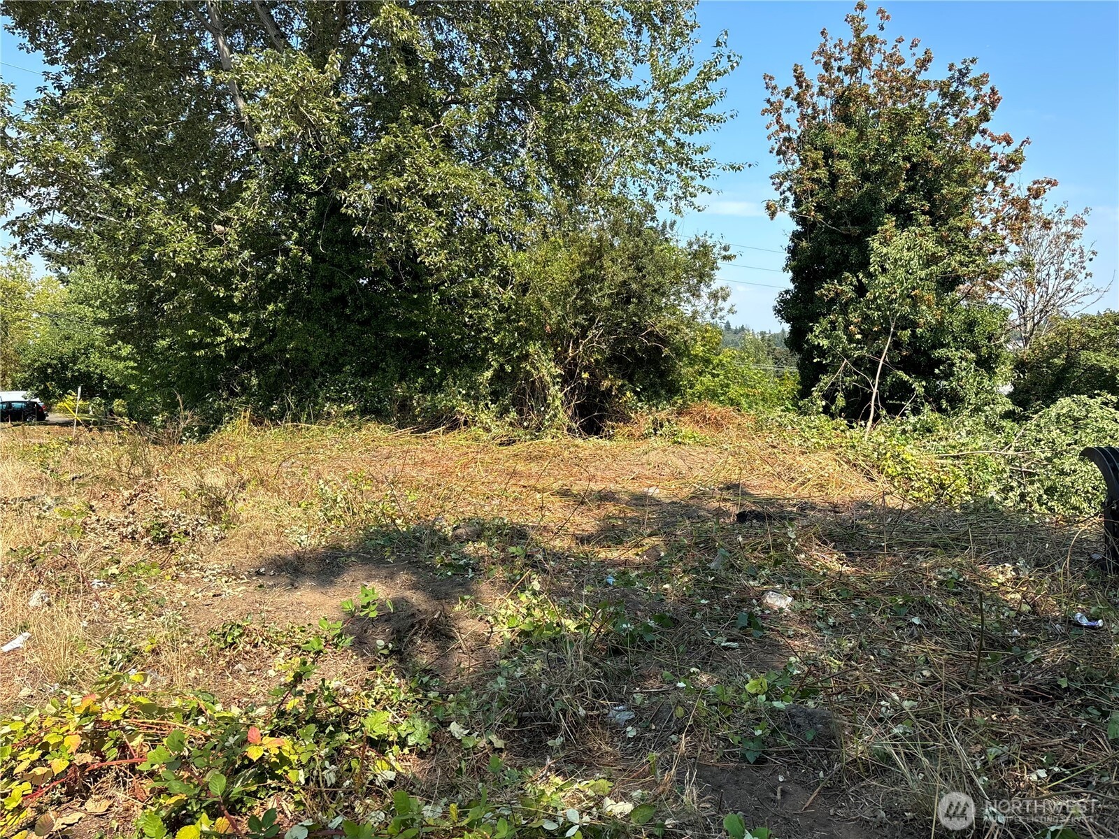 1117 13th Street Property Photo 10