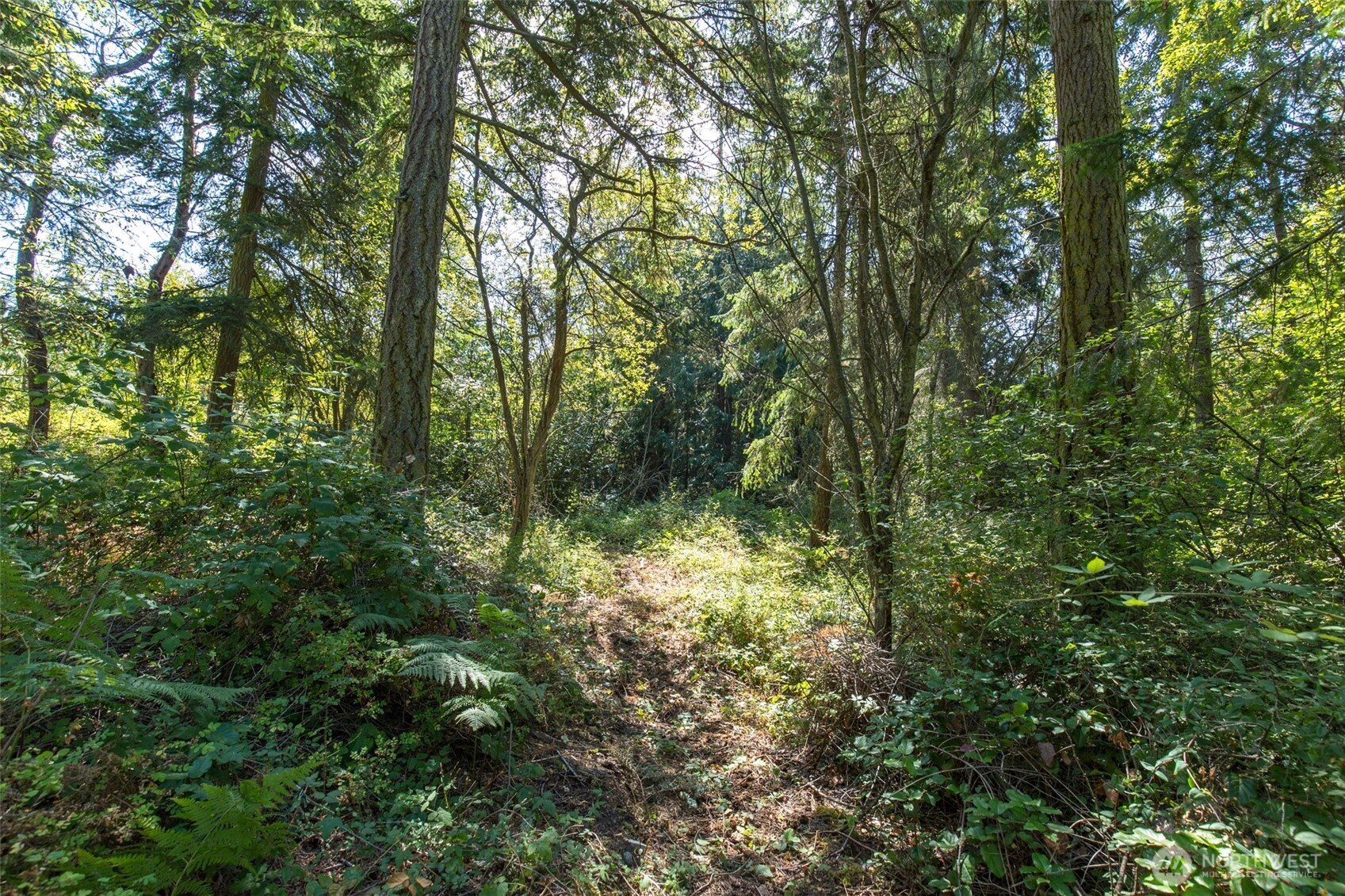 9999 Discovery Road Property Photo 3