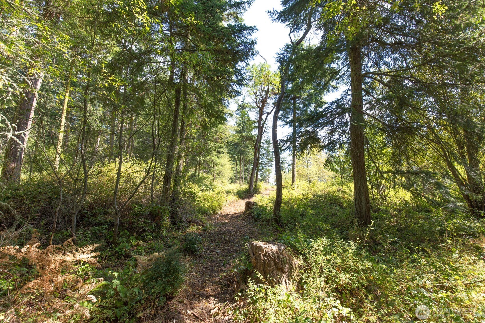 9999 Discovery Road Property Photo 4