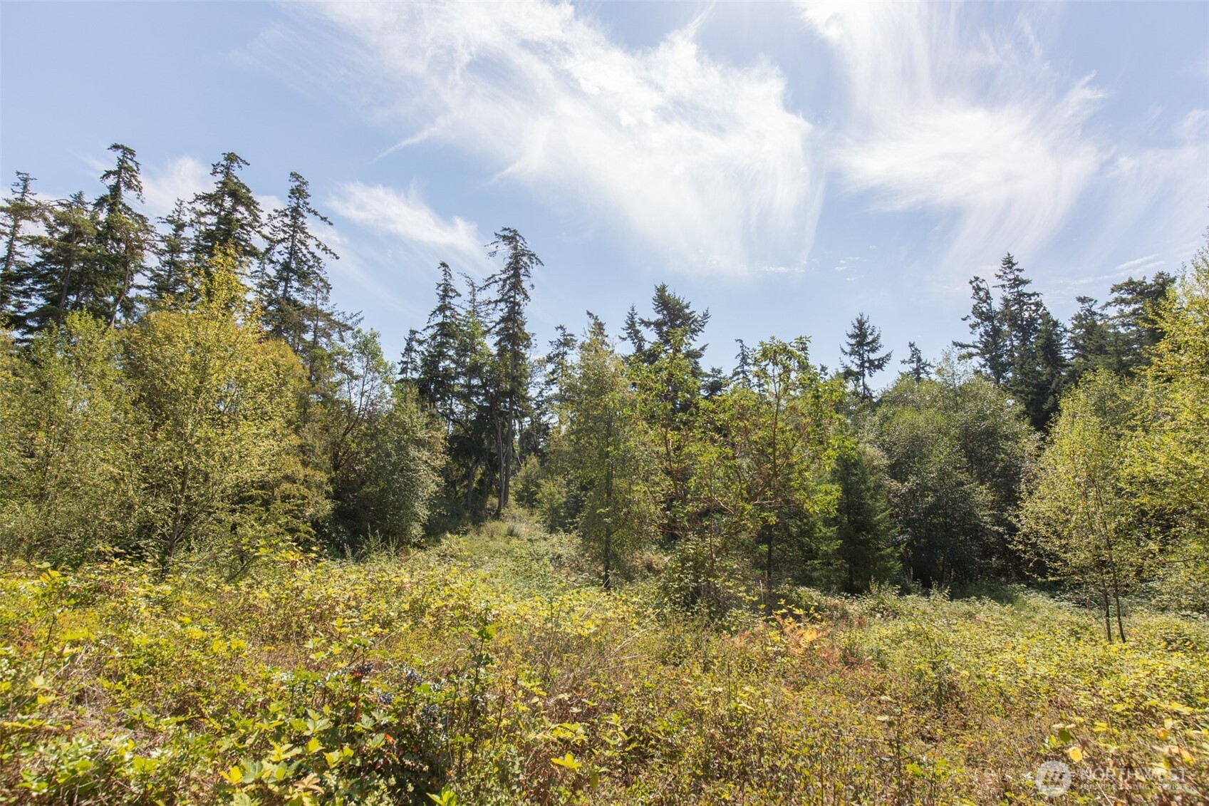 9999 Discovery Road Property Photo 6