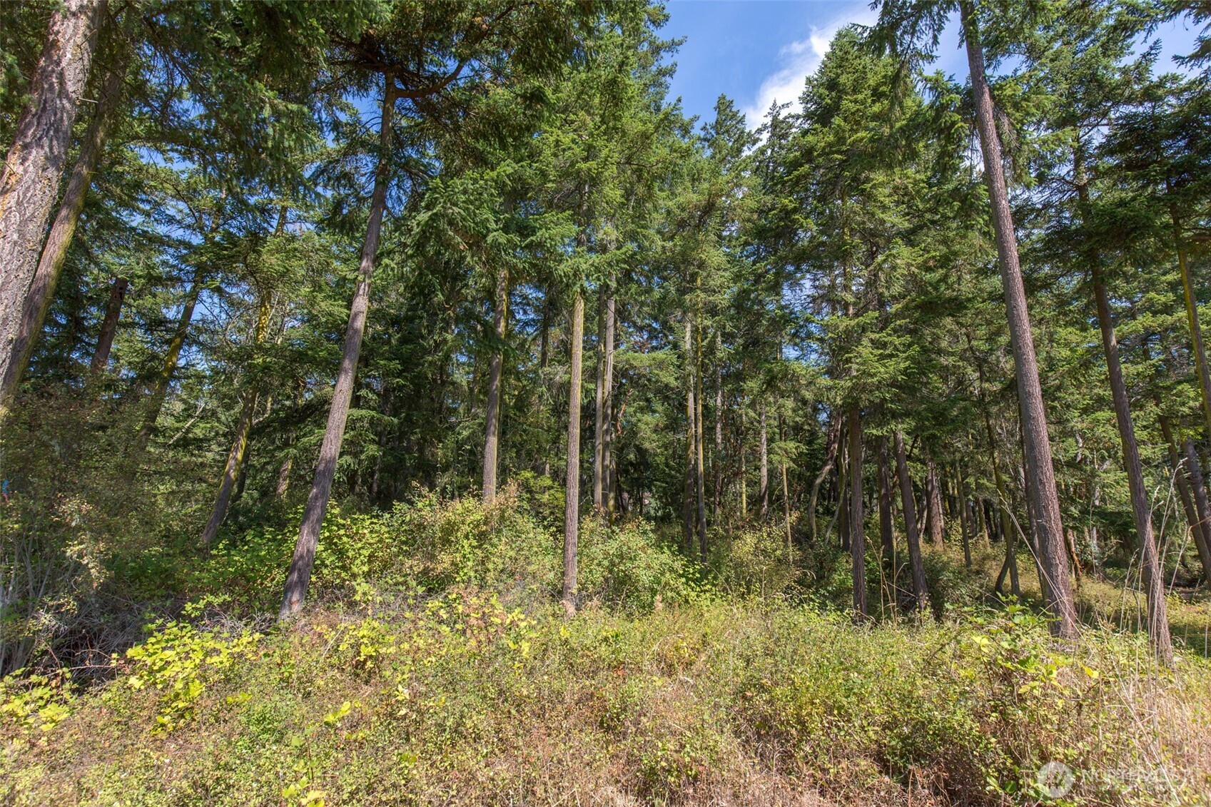 9999 Discovery Road Property Photo 7
