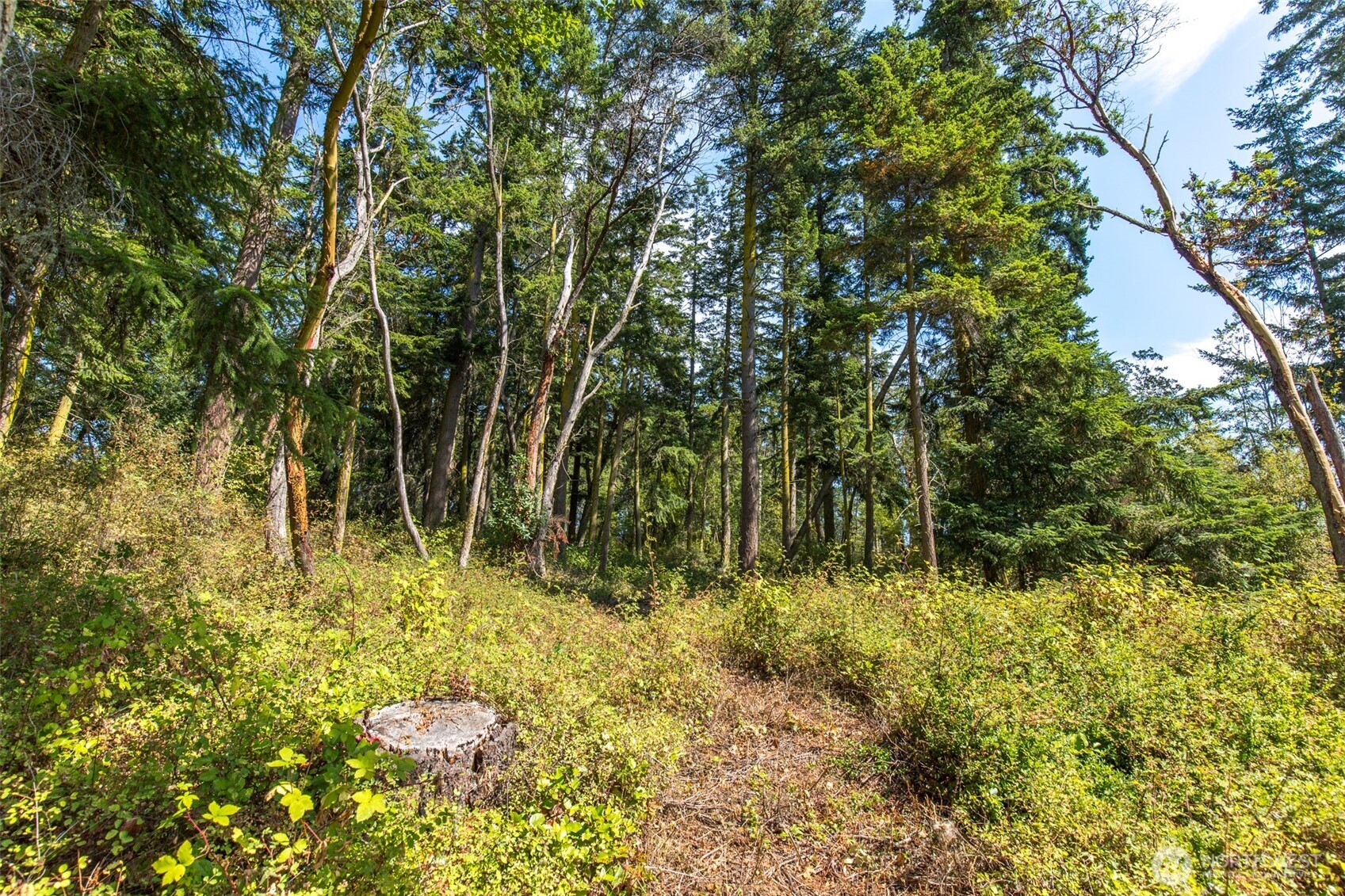 9999 Discovery Road Property Photo 11