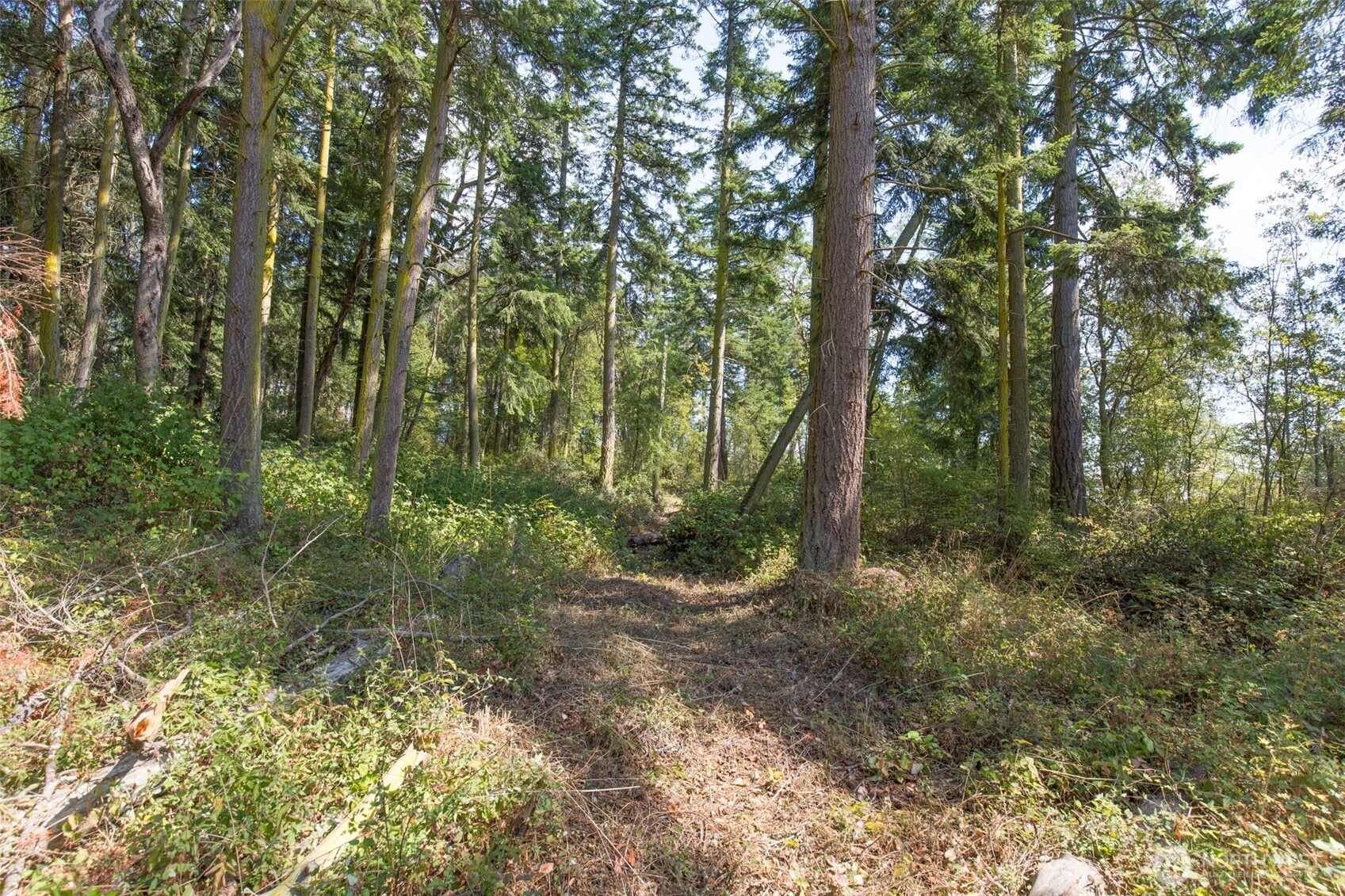 9999 Discovery Road Property Photo 12