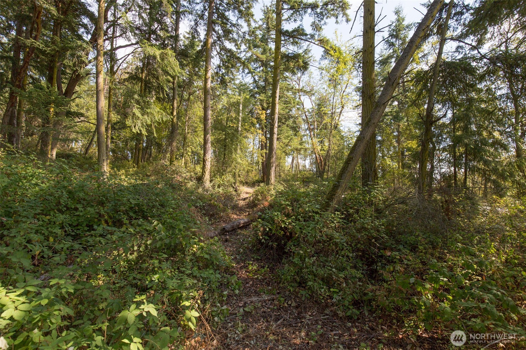 9999 Discovery Road Property Photo 13