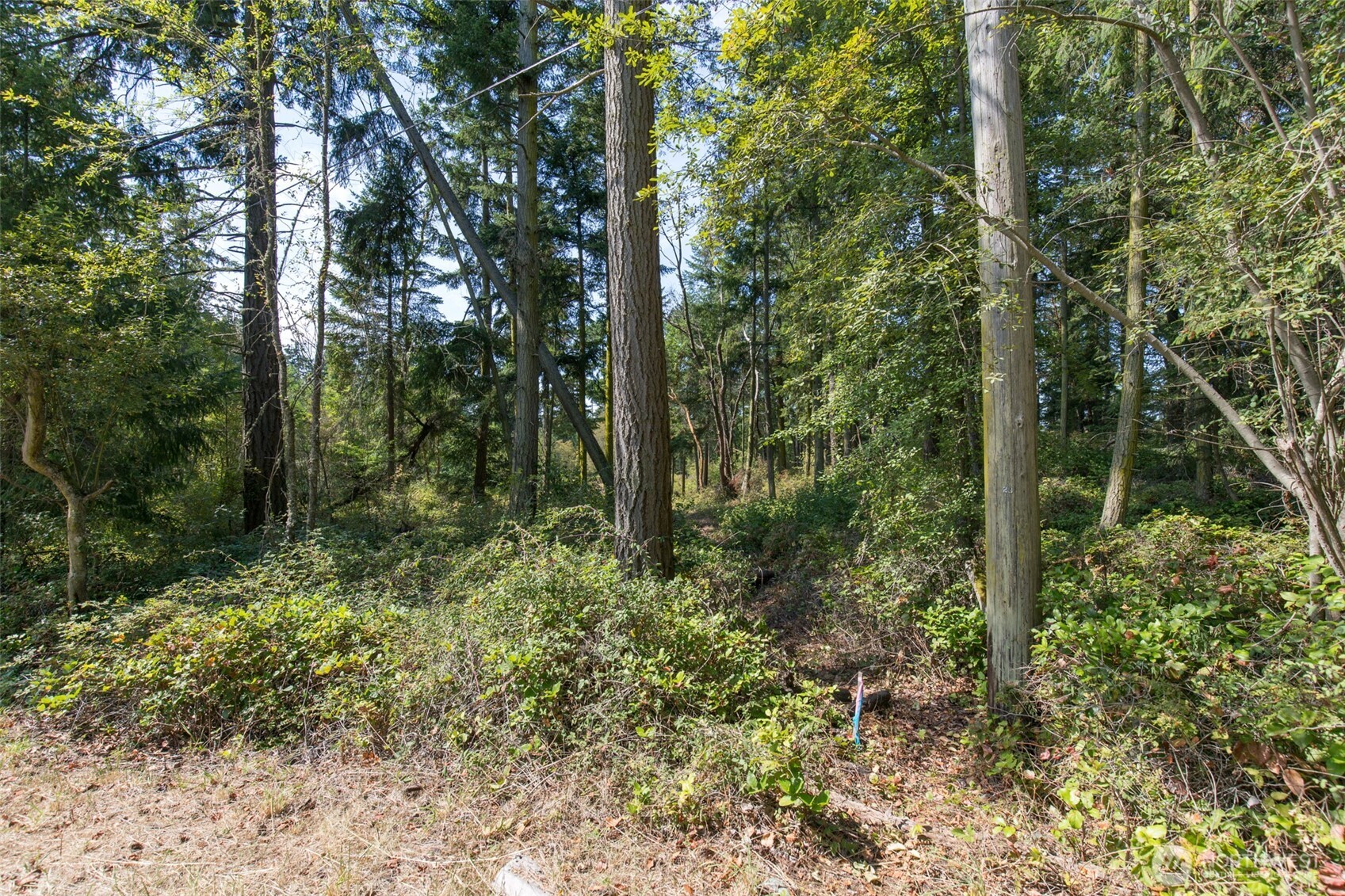 9999 Discovery Road Property Photo 15
