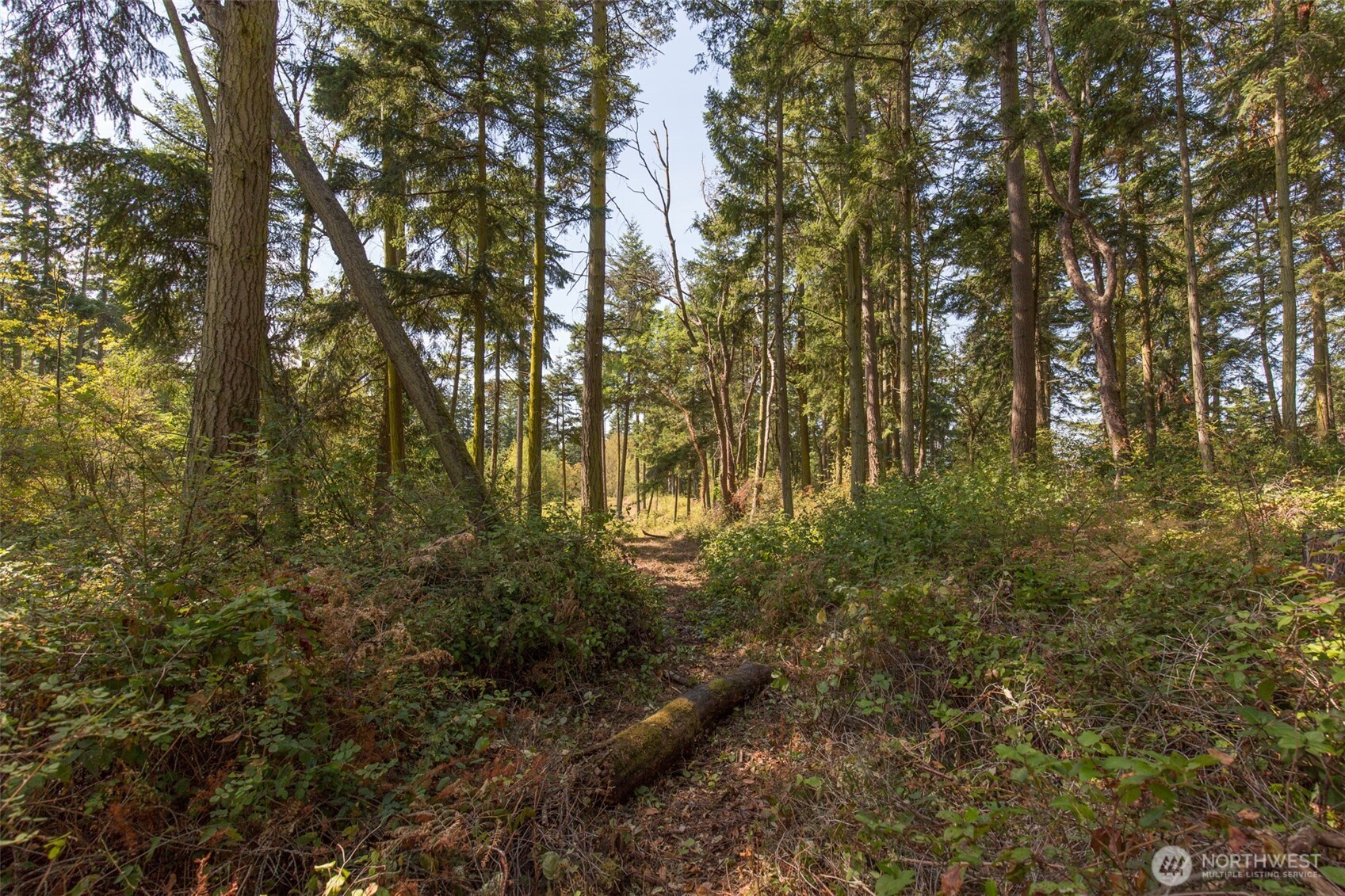 9999 Discovery Road Property Photo 19