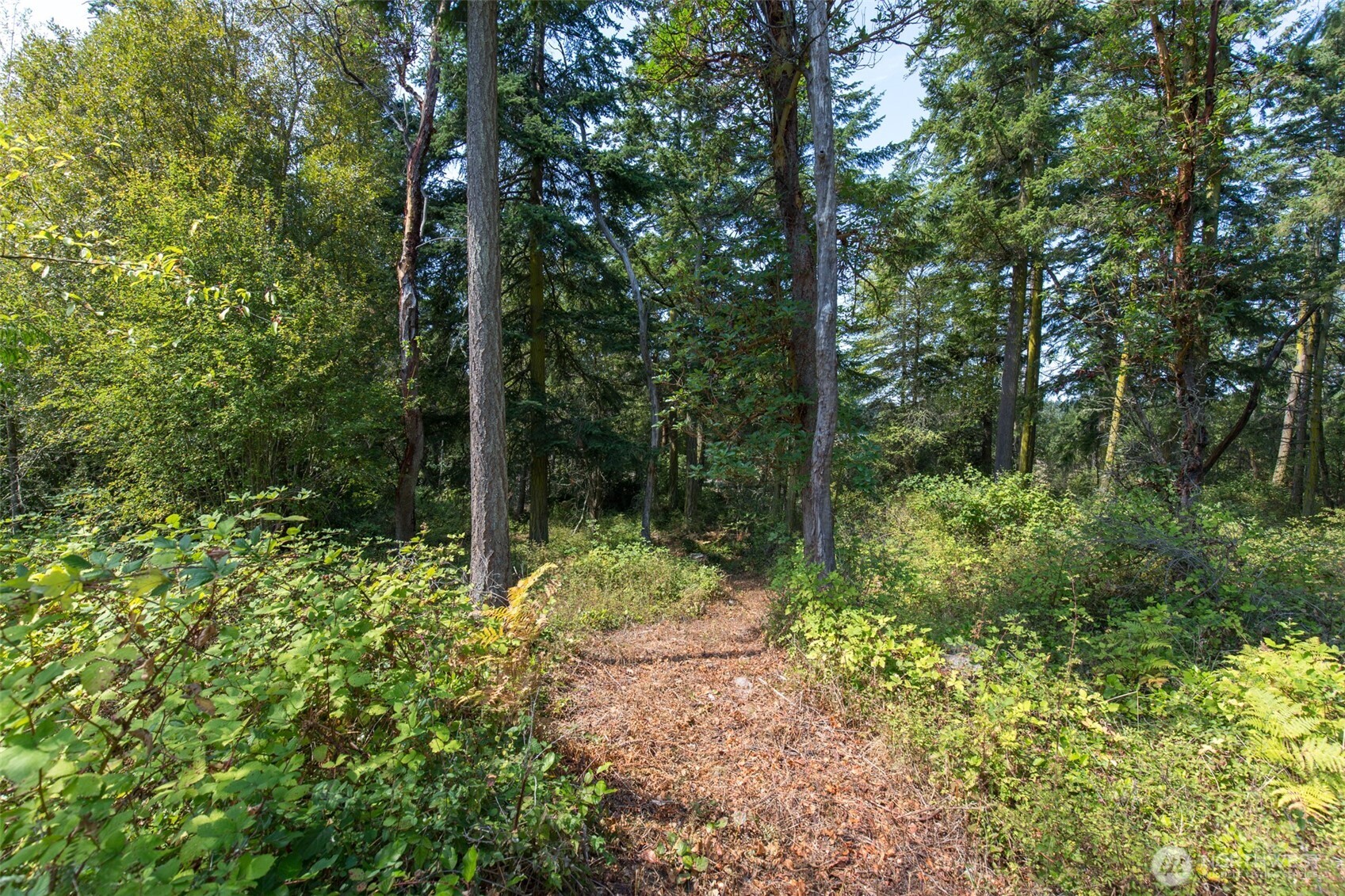 9999 Discovery Road Property Photo 23