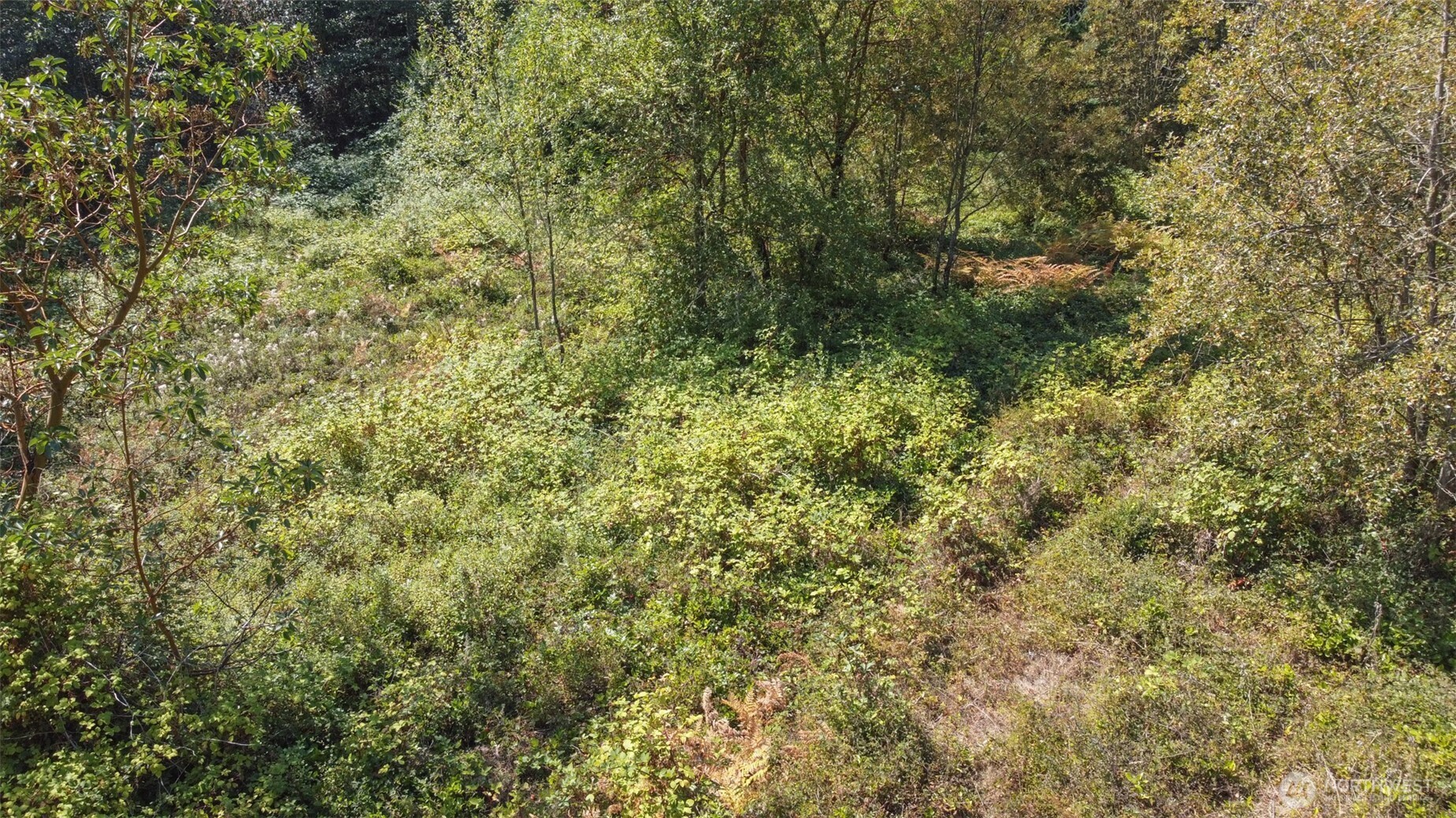 9999 Discovery Road Property Photo 27