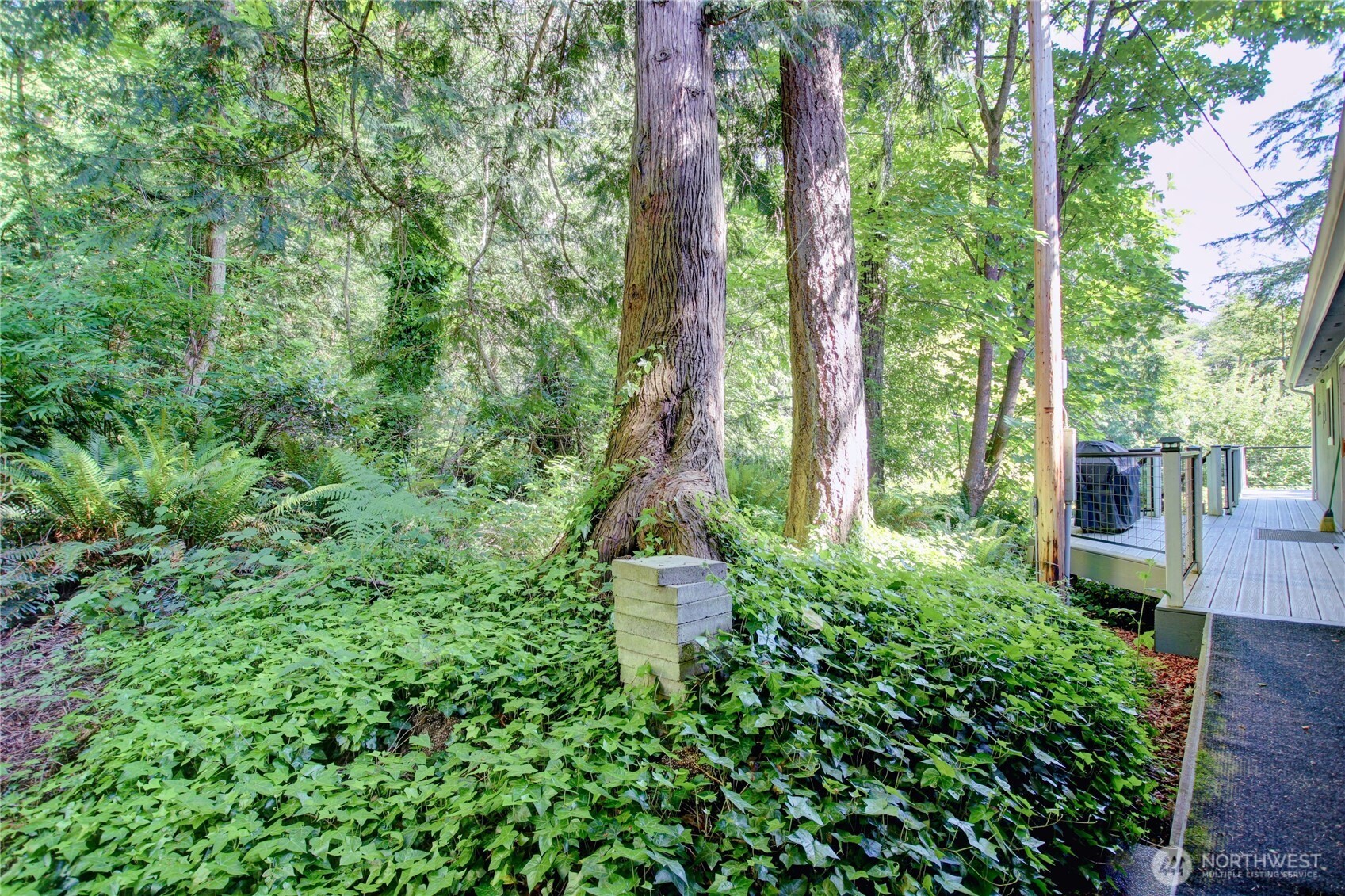 17147 Hope Island Lane Property Photo 36