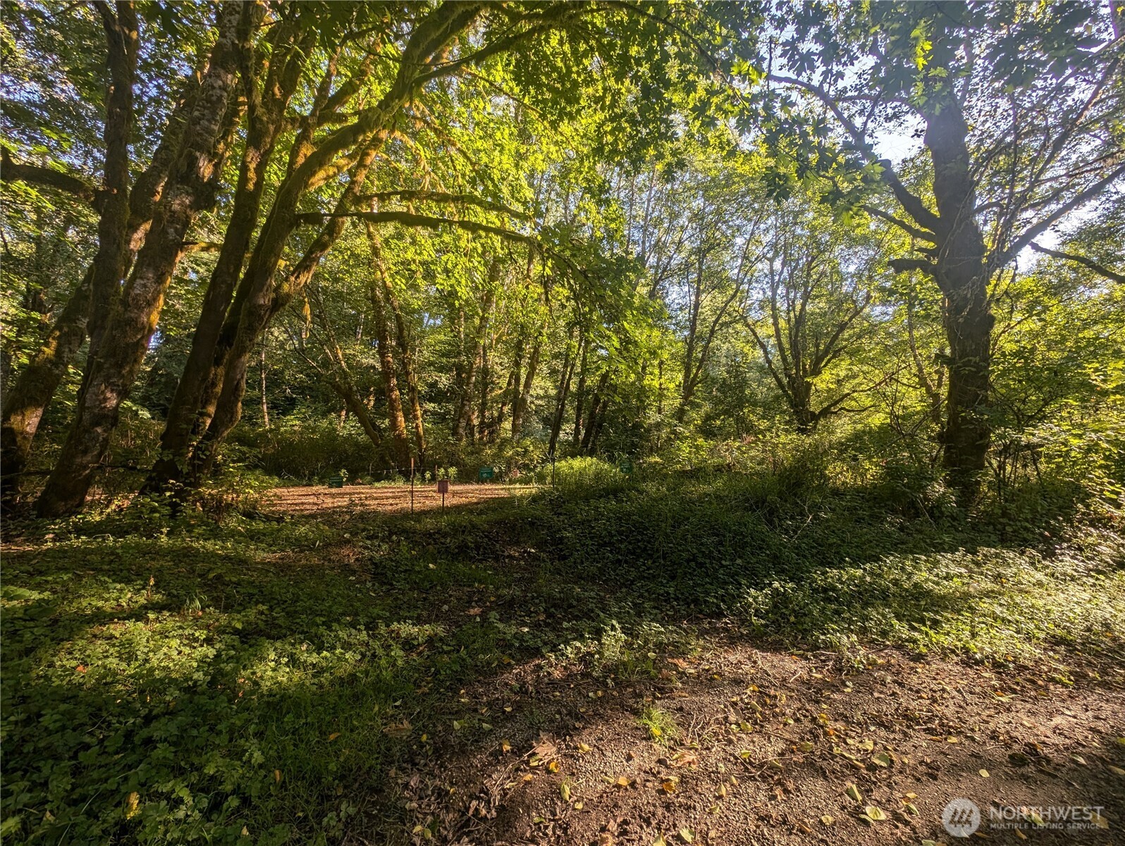 999 Whitcomb-dimmel Road Property Photo 1