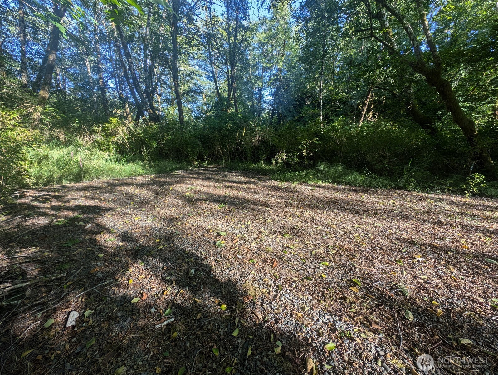 999 Whitcomb-dimmel Road Property Photo 7