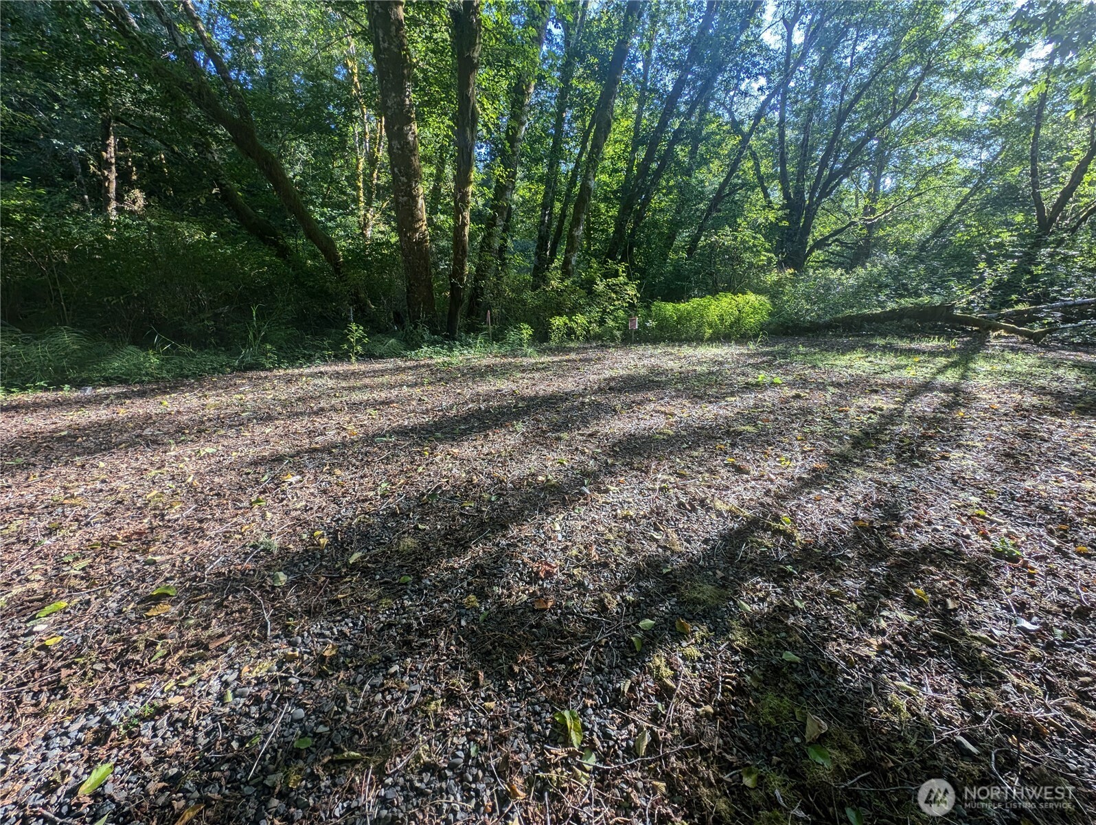 999 Whitcomb-dimmel Road Property Photo 8