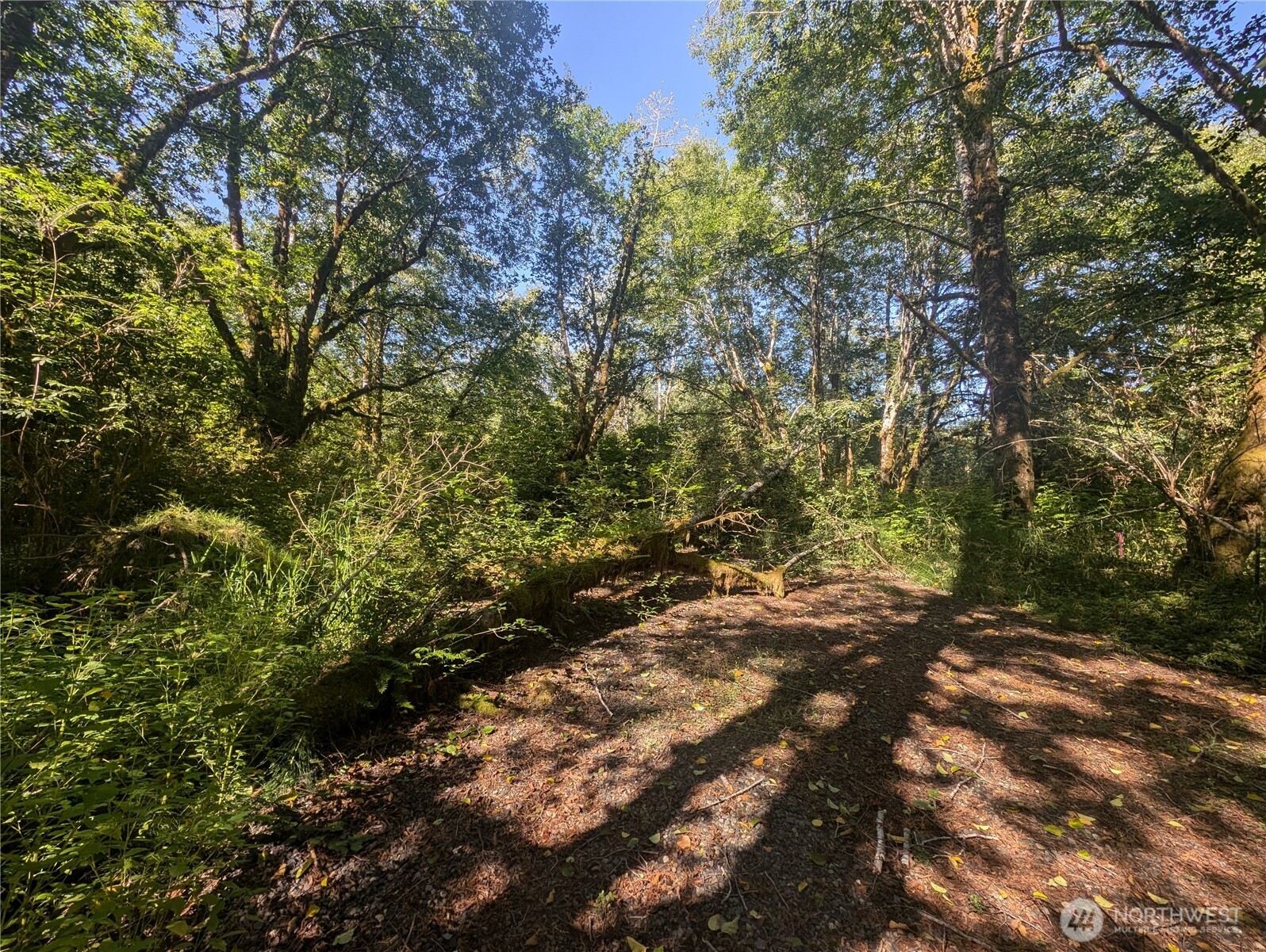 999 Whitcomb-dimmel Road Property Photo 10