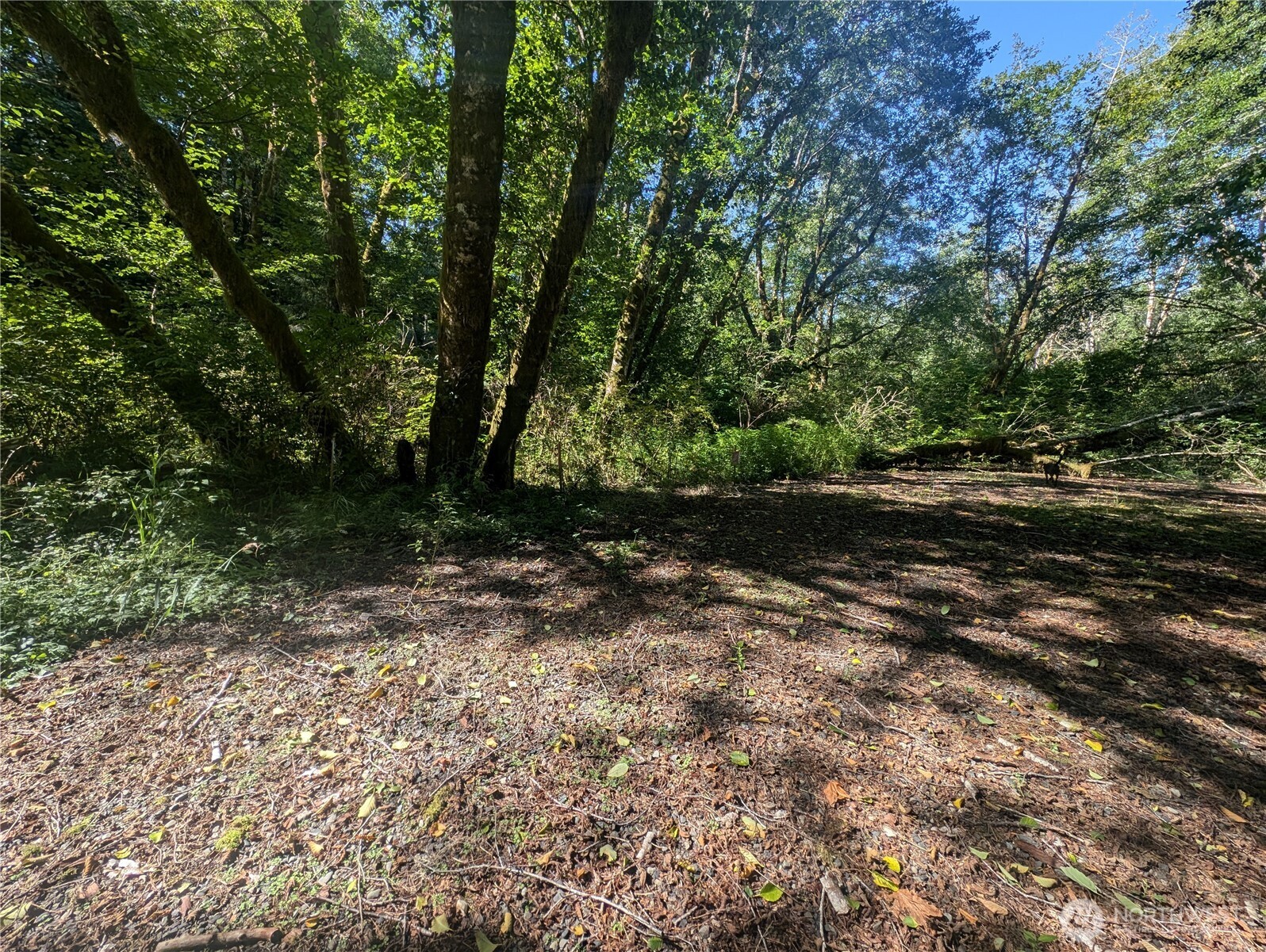 999 Whitcomb-dimmel Road Property Photo 11