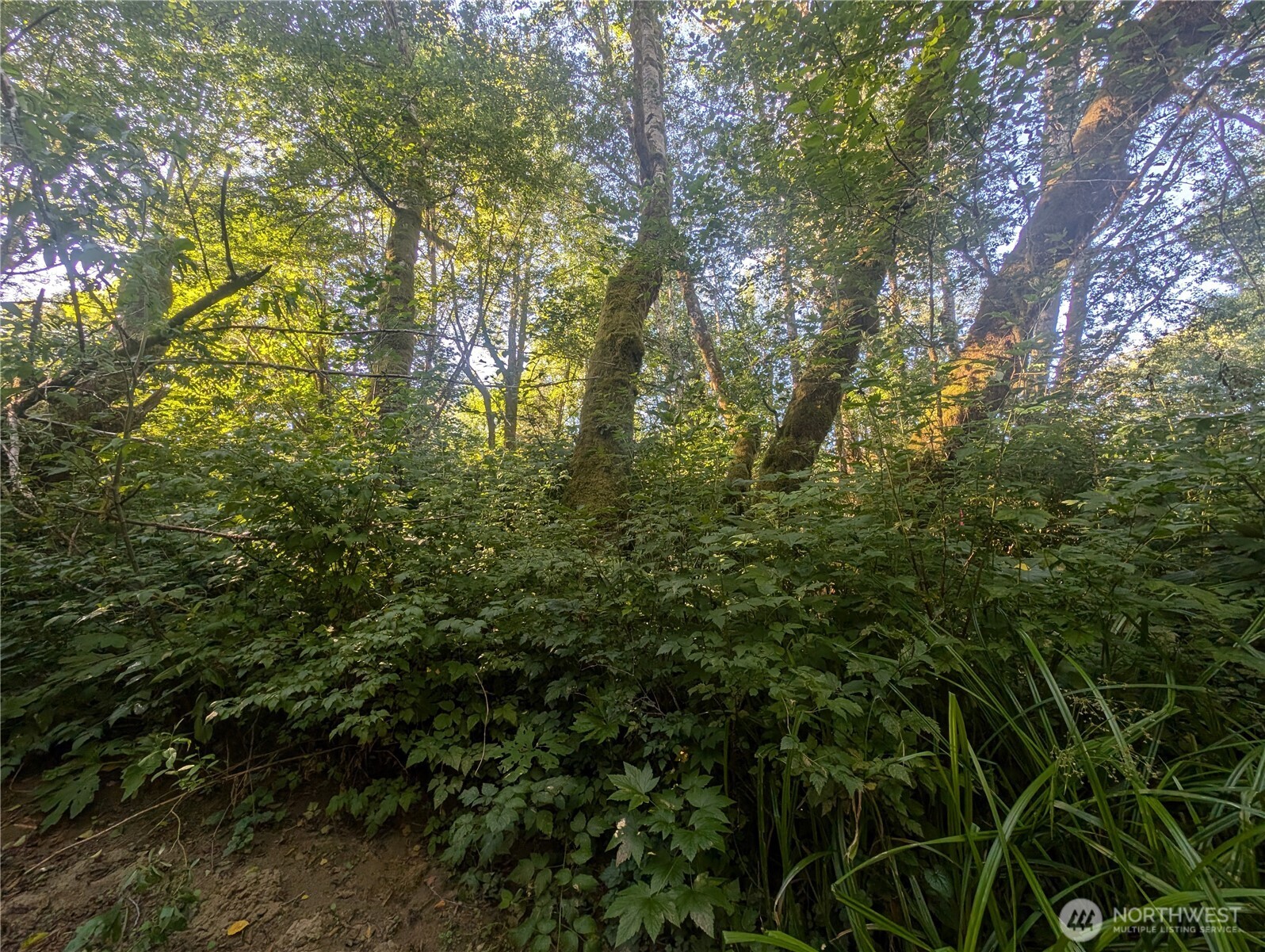 999 Whitcomb-dimmel Road Property Photo 16