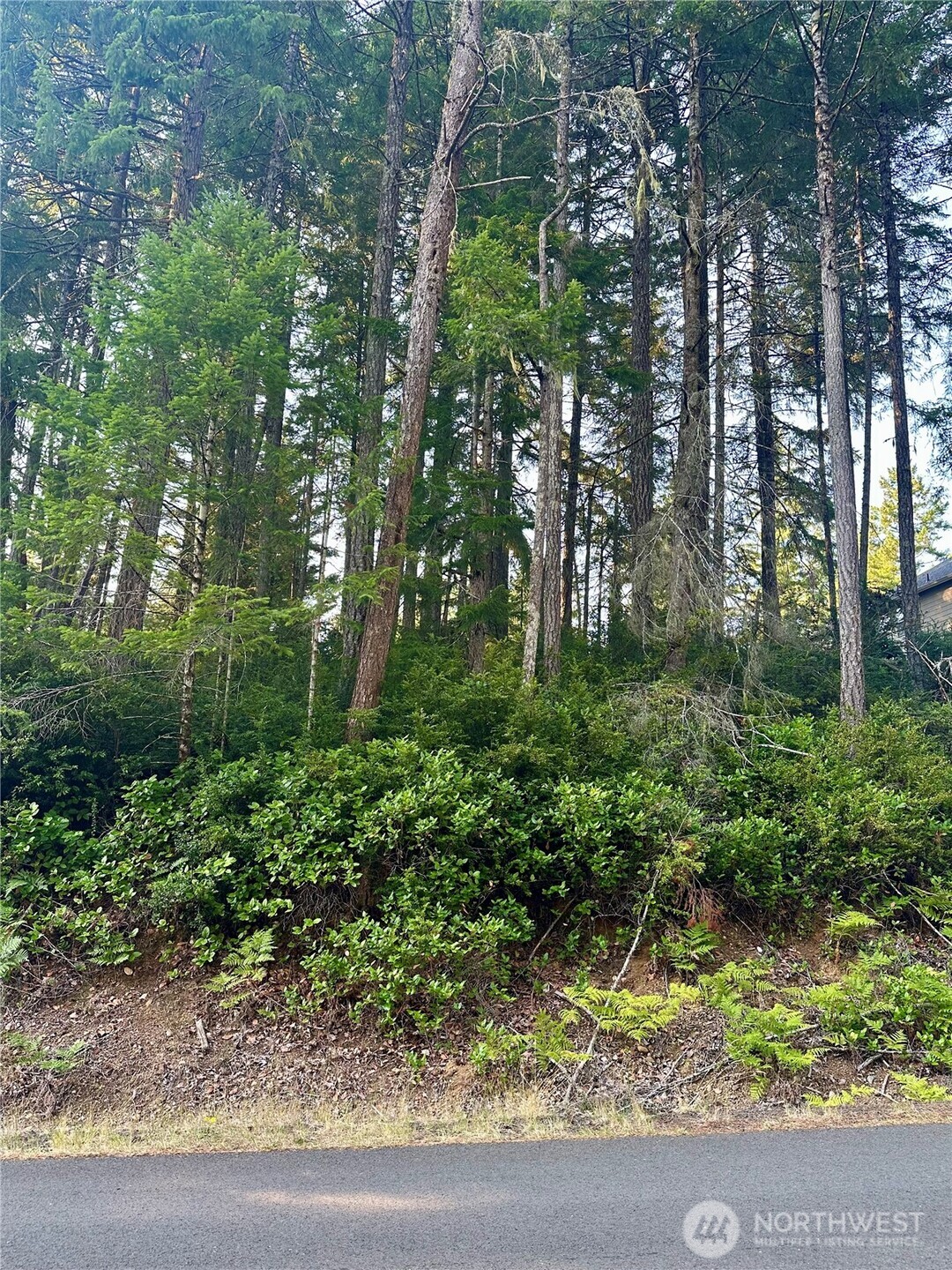700 E Vine Maple Lane Property Photo 1