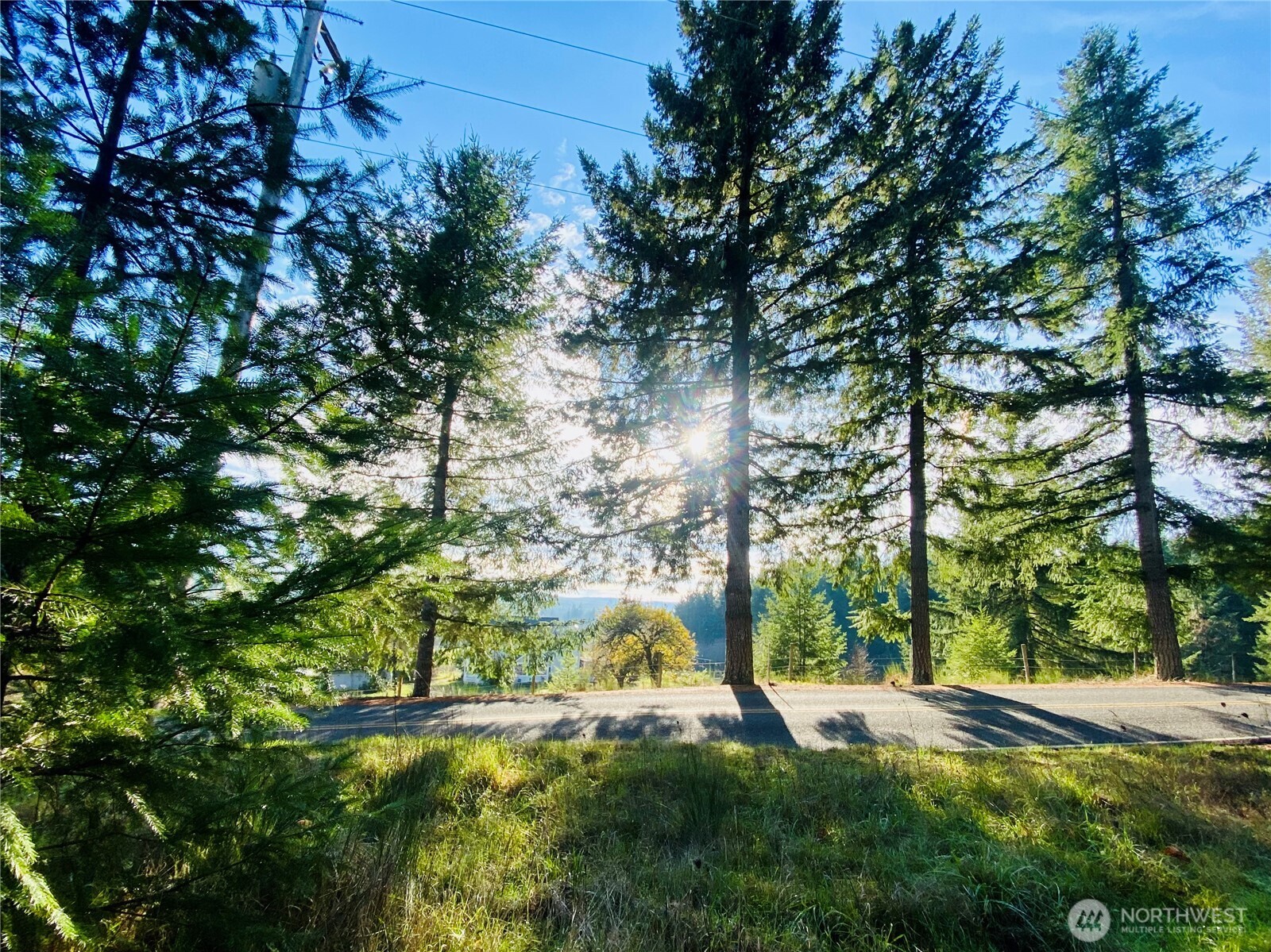 0 Lincoln Creek Road Property Photo 2