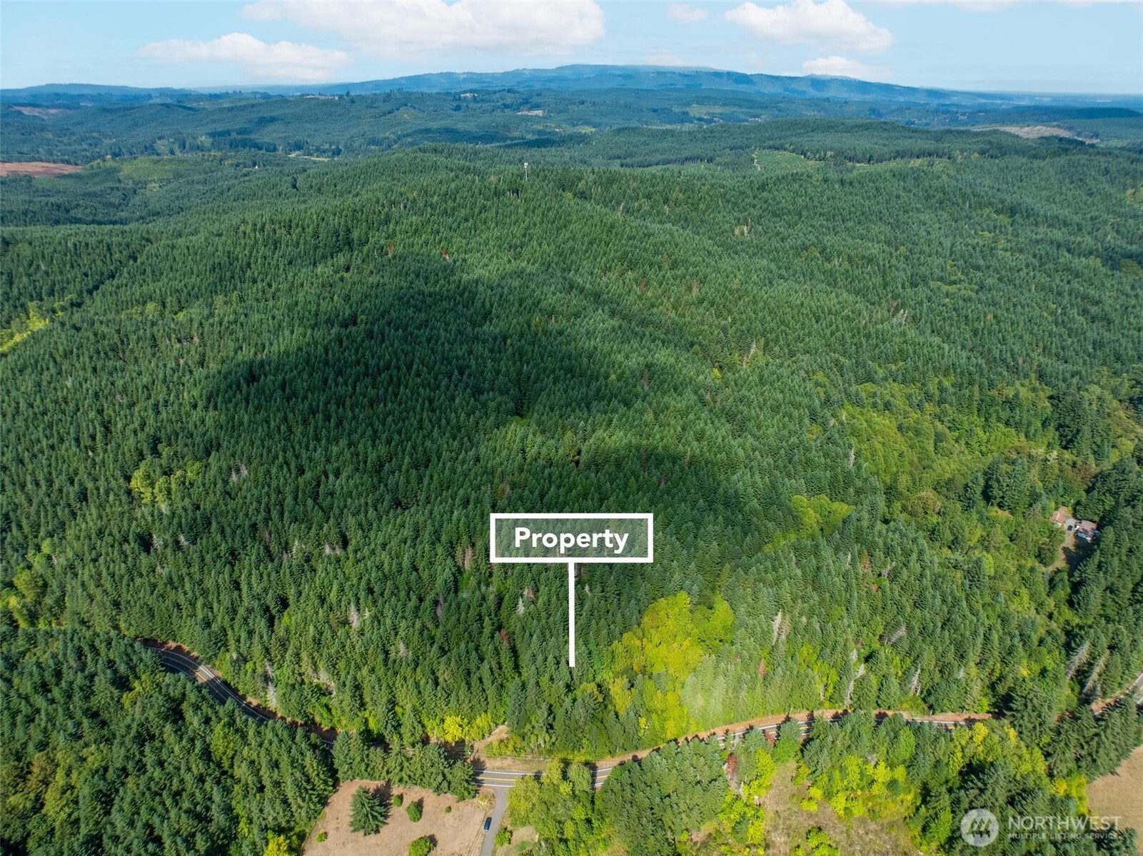 0 Lincoln Creek Road Property Photo 3