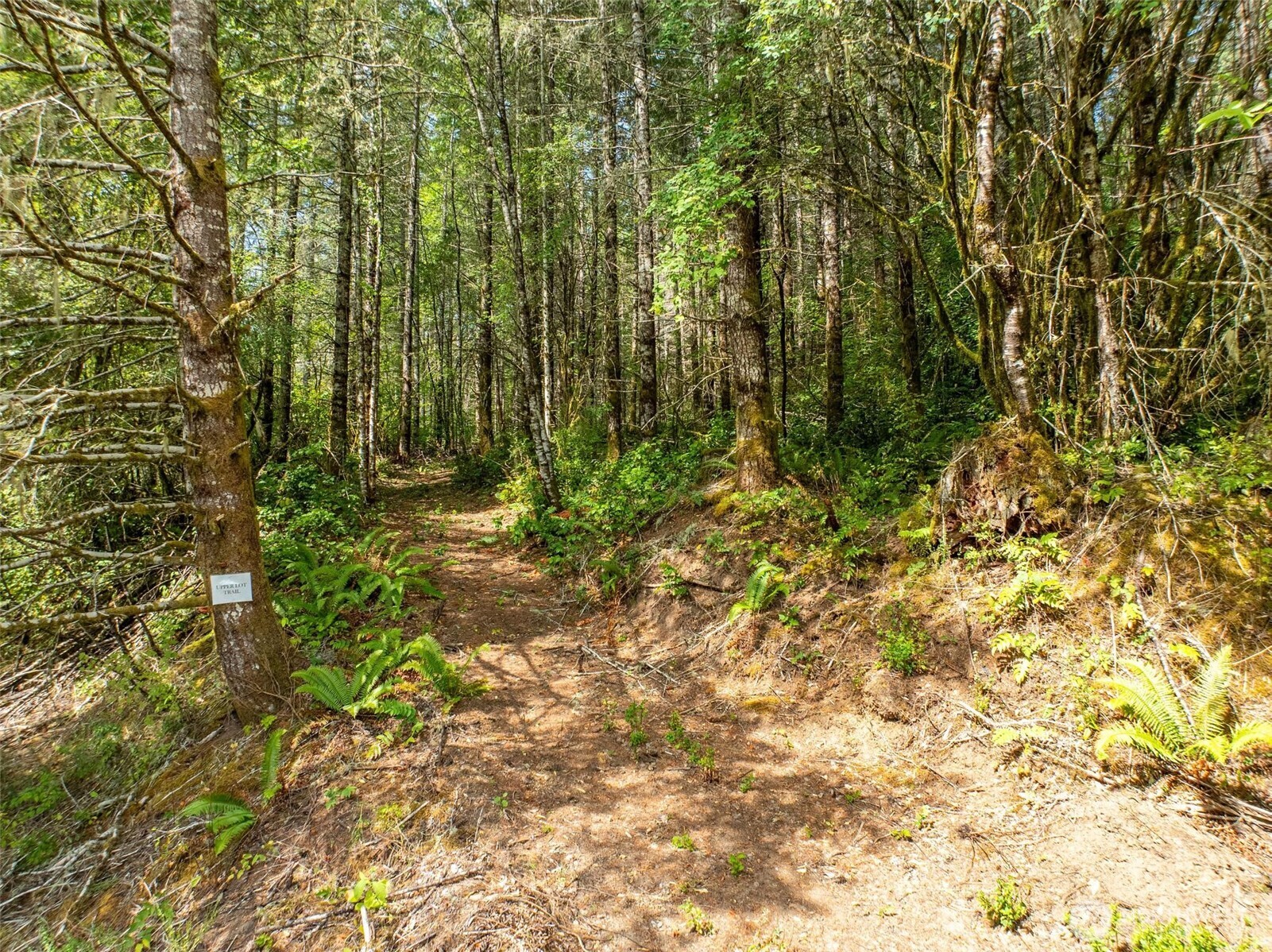 0 Lincoln Creek Road Property Photo 4