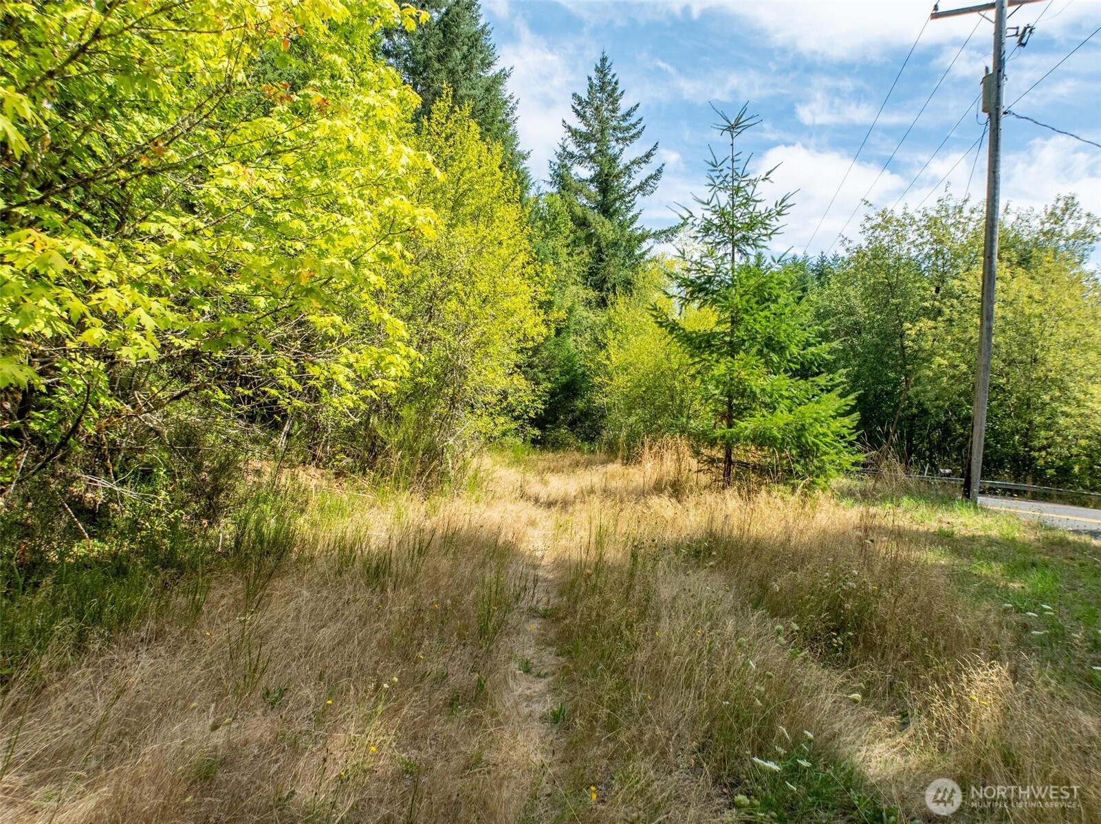 0 Lincoln Creek Road Property Photo 6