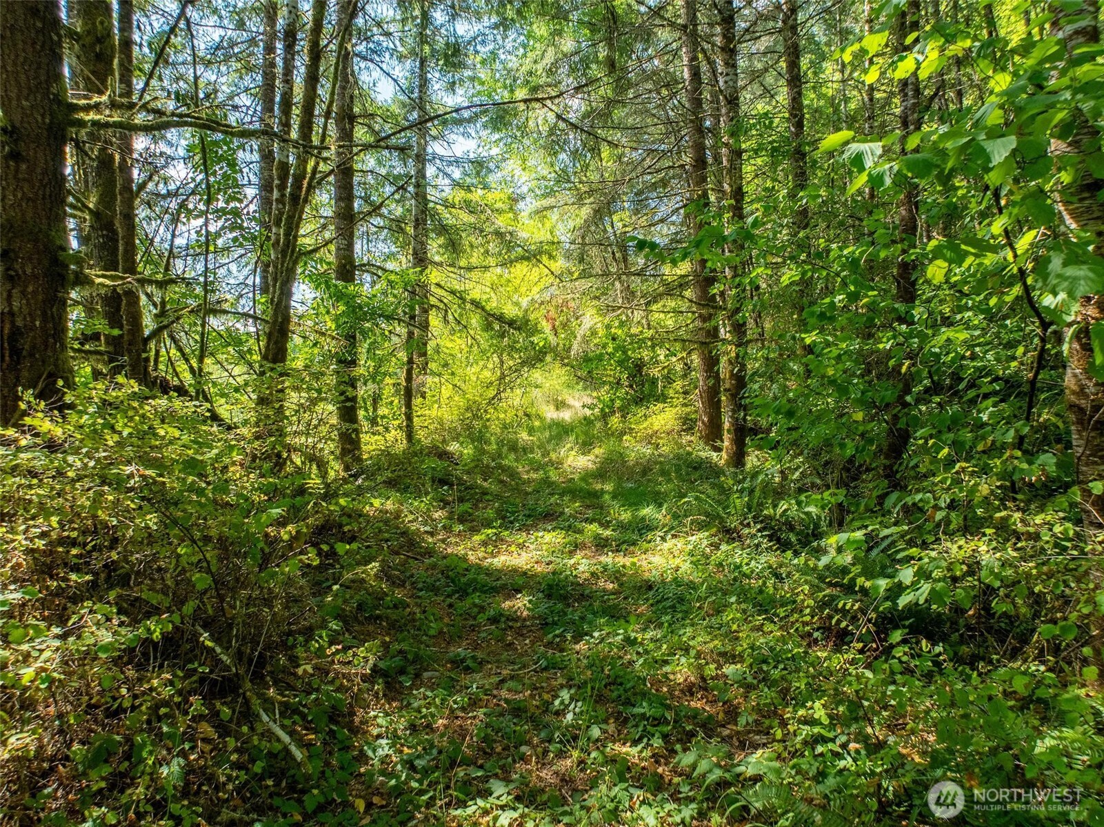 0 Lincoln Creek Road Property Photo 8
