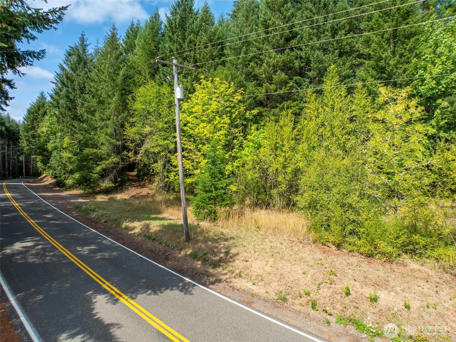 0 Lincoln Creek Road Property Photo 10