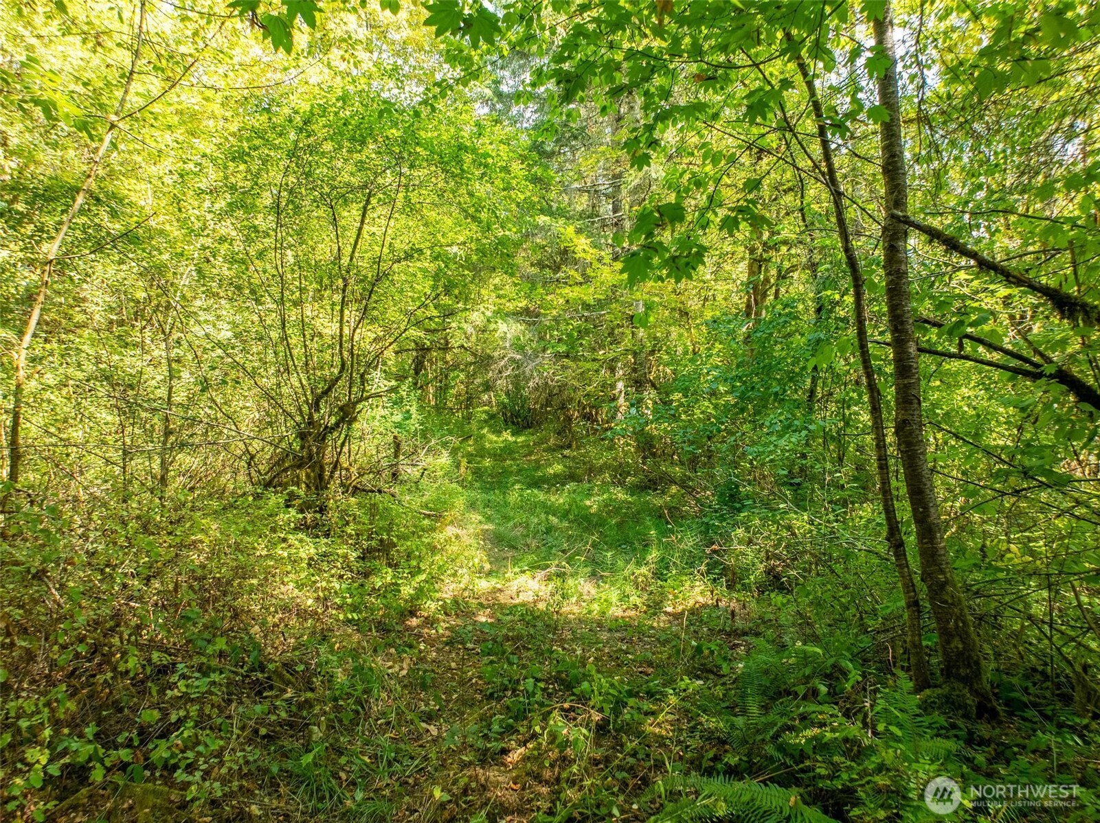0 Lincoln Creek Road Property Photo 11