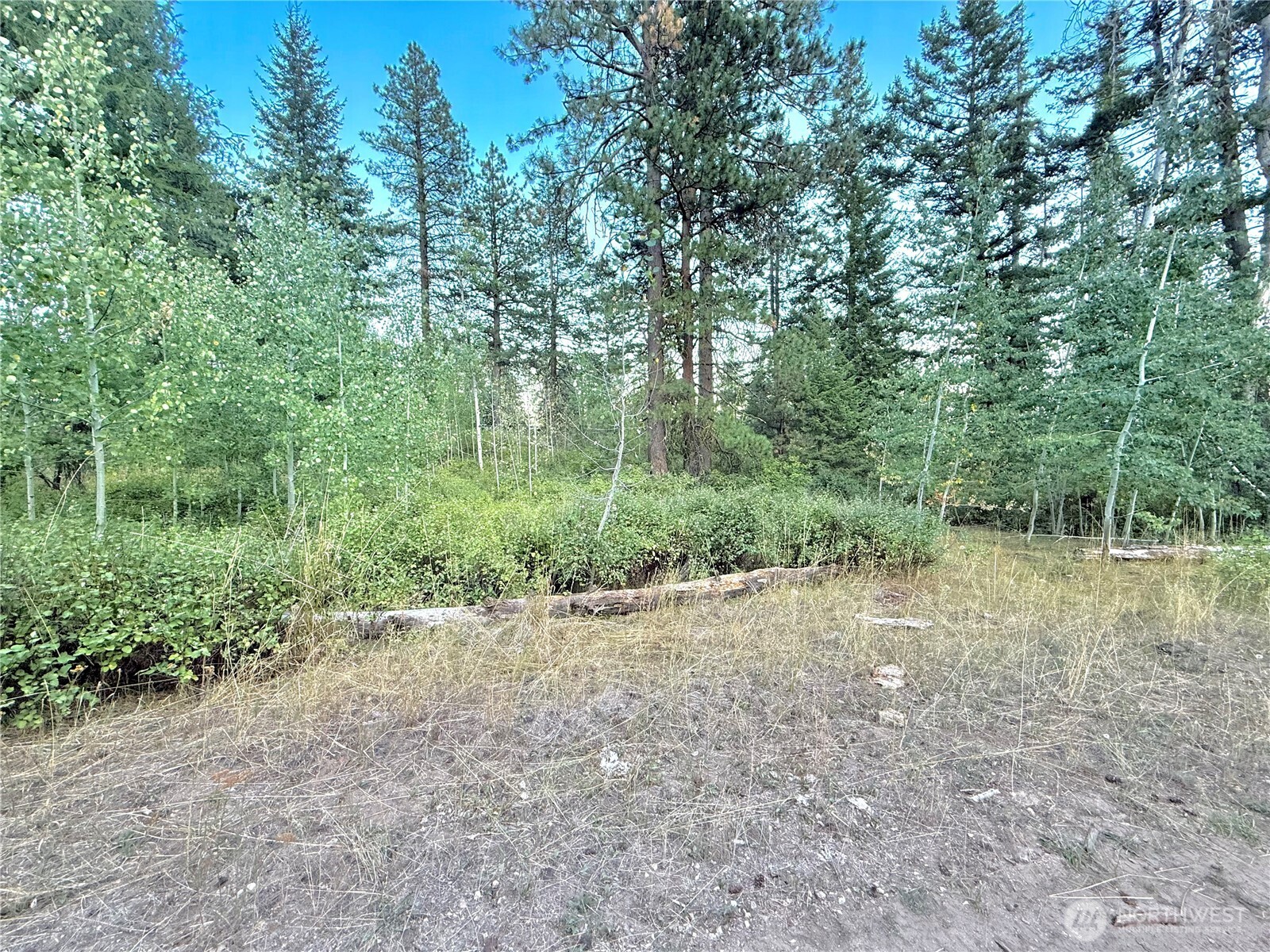 0 Tbd Buzzard Lake Road Property Photo 2