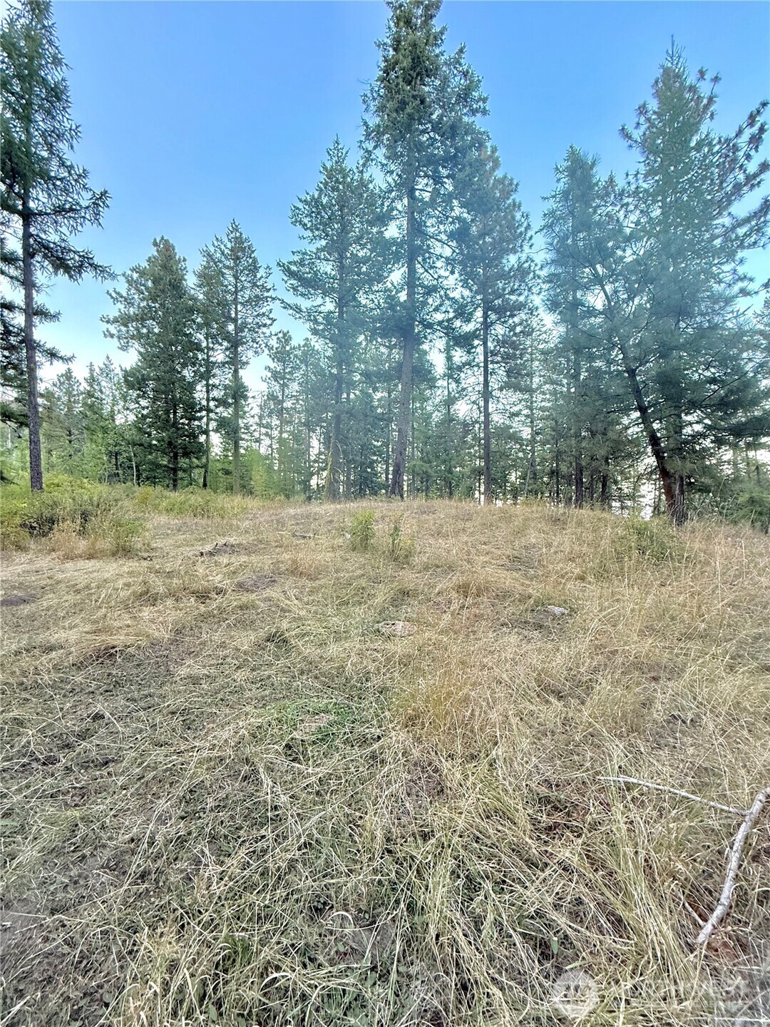 0 Tbd Buzzard Lake Road Property Photo 6