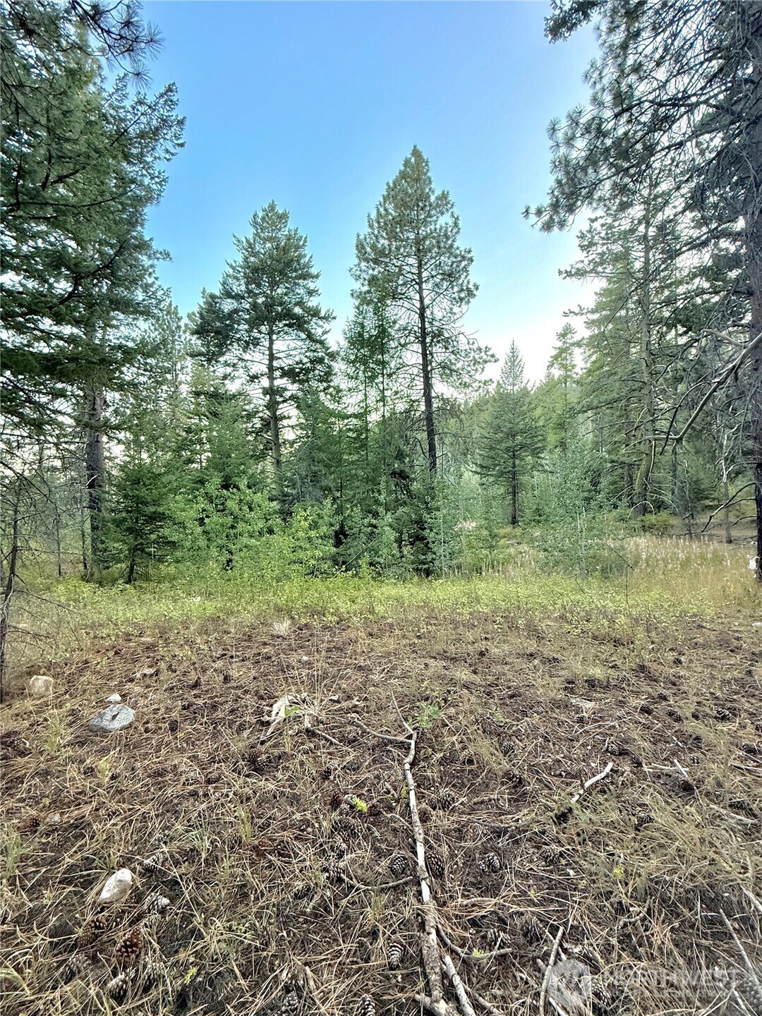 0 Tbd Buzzard Lake Road Property Photo 11