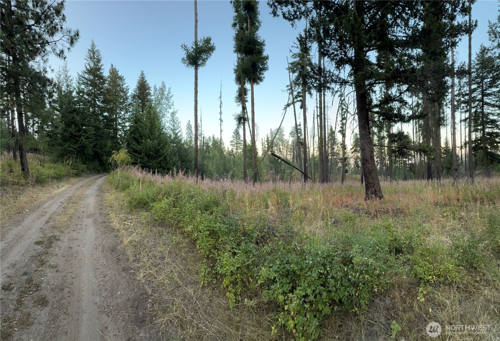 0 Tbd Buzzard Lake Road Property Photo 13