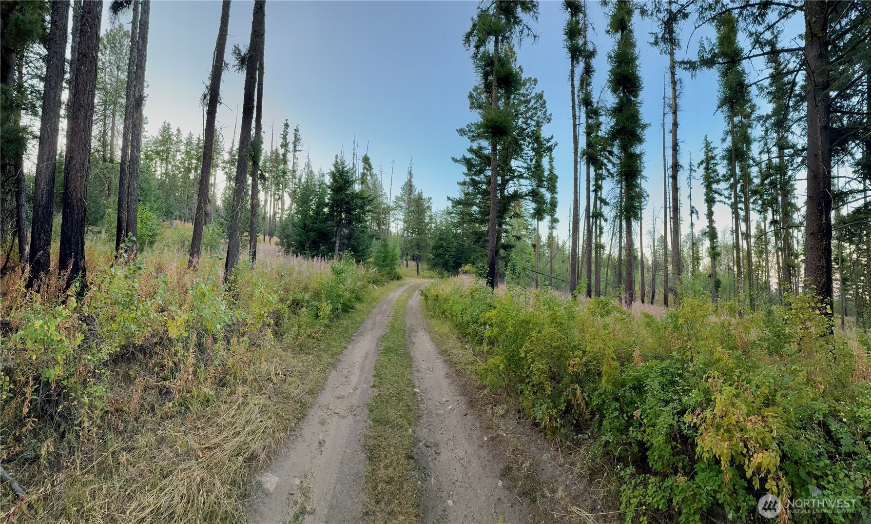 0 Tbd Buzzard Lake Road Property Photo 14