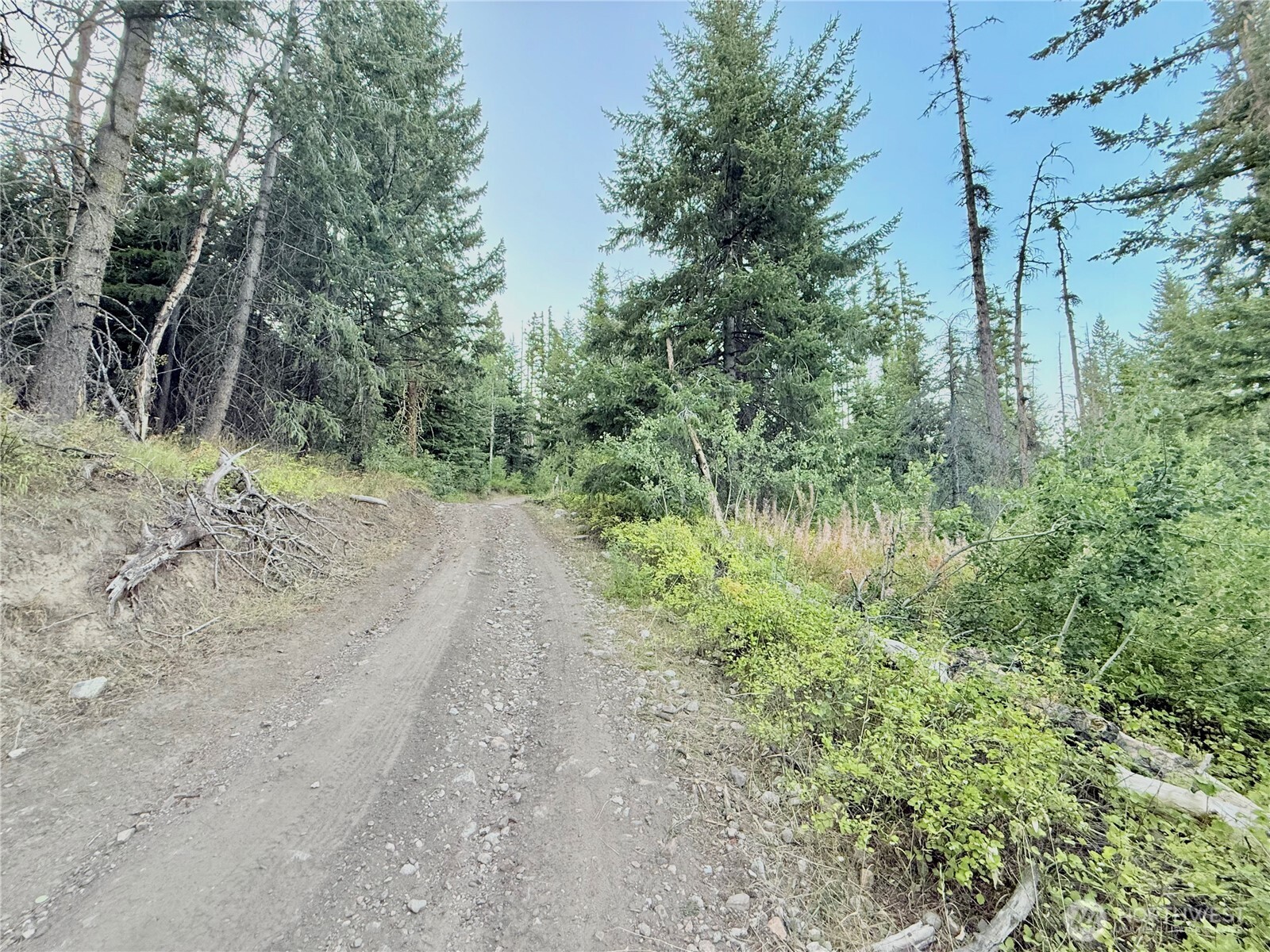 0 Tbd Buzzard Lake Road Property Photo 15