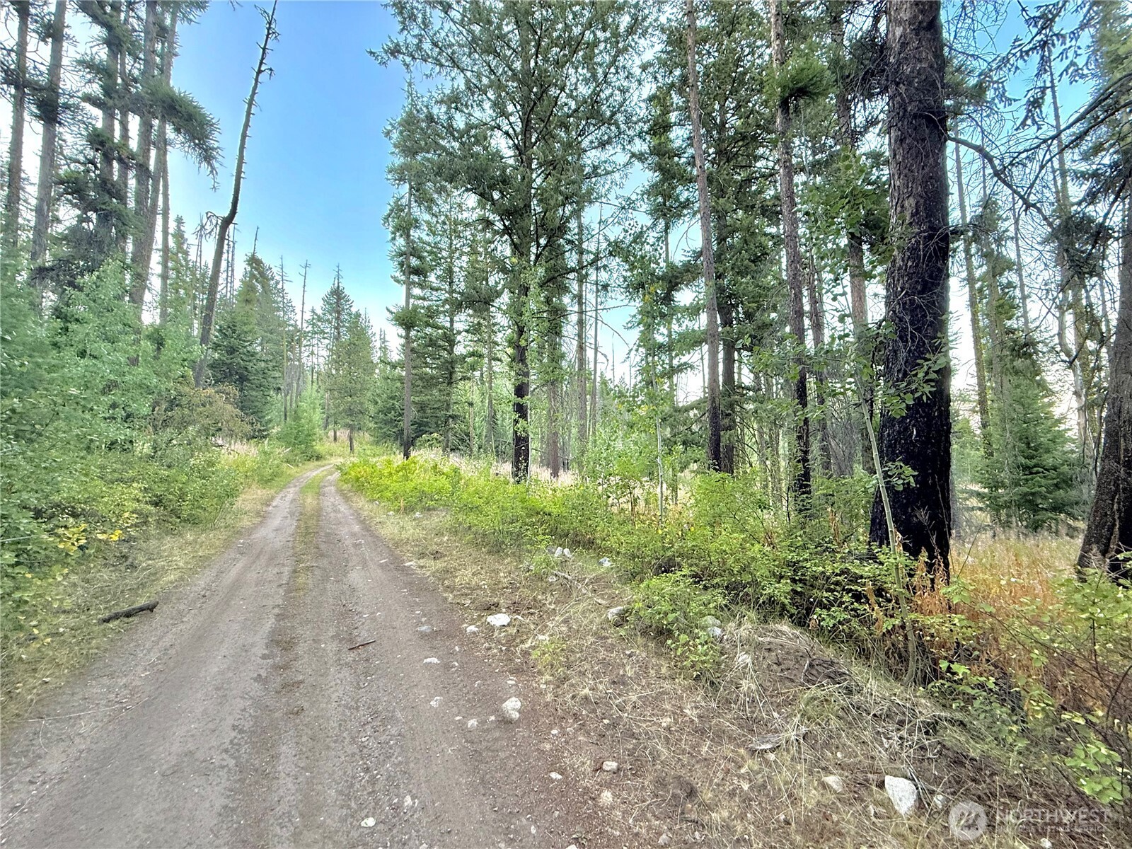 0 Tbd Buzzard Lake Road Property Photo 16