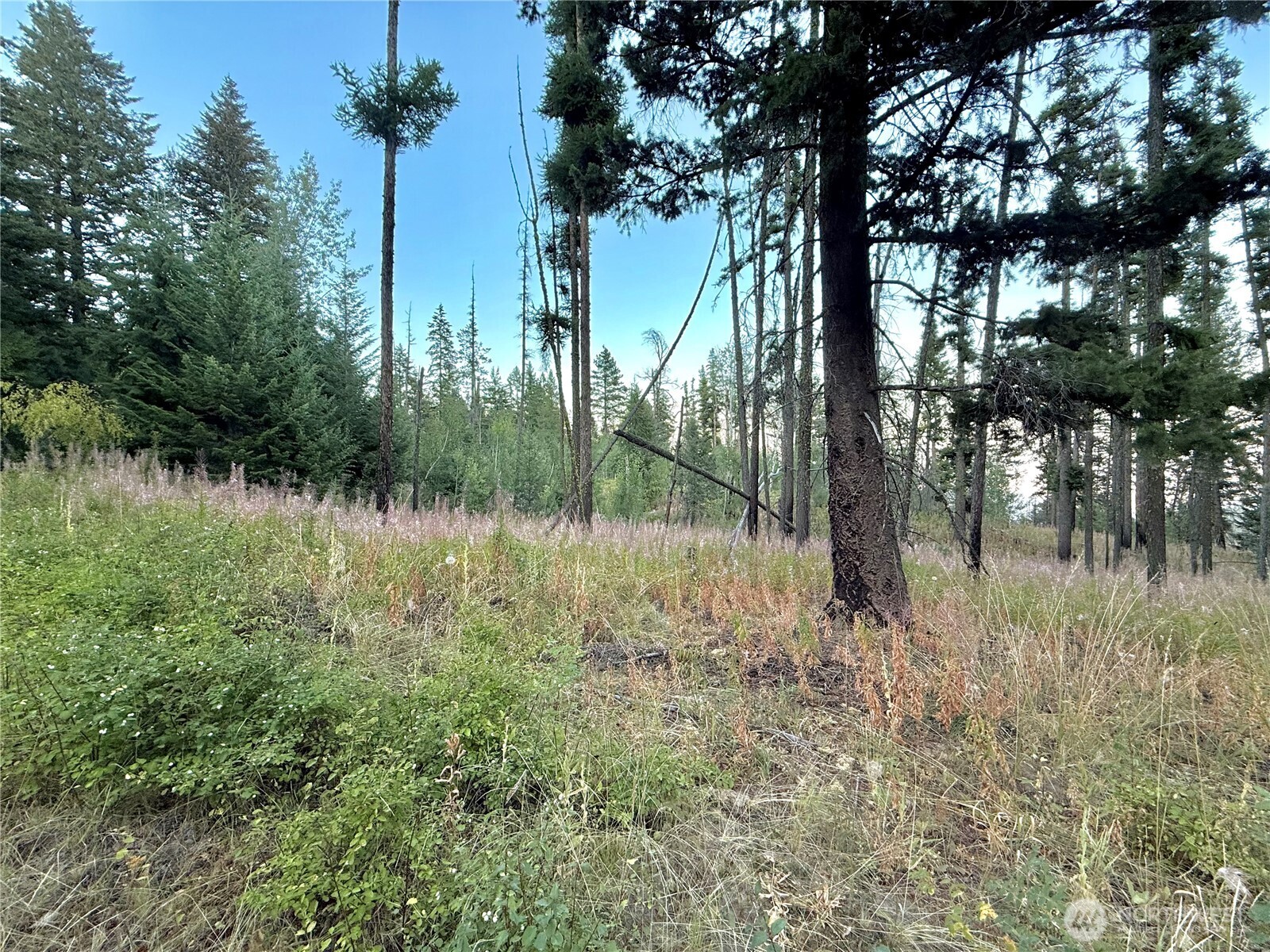 0 Tbd Buzzard Lake Road Property Photo 18