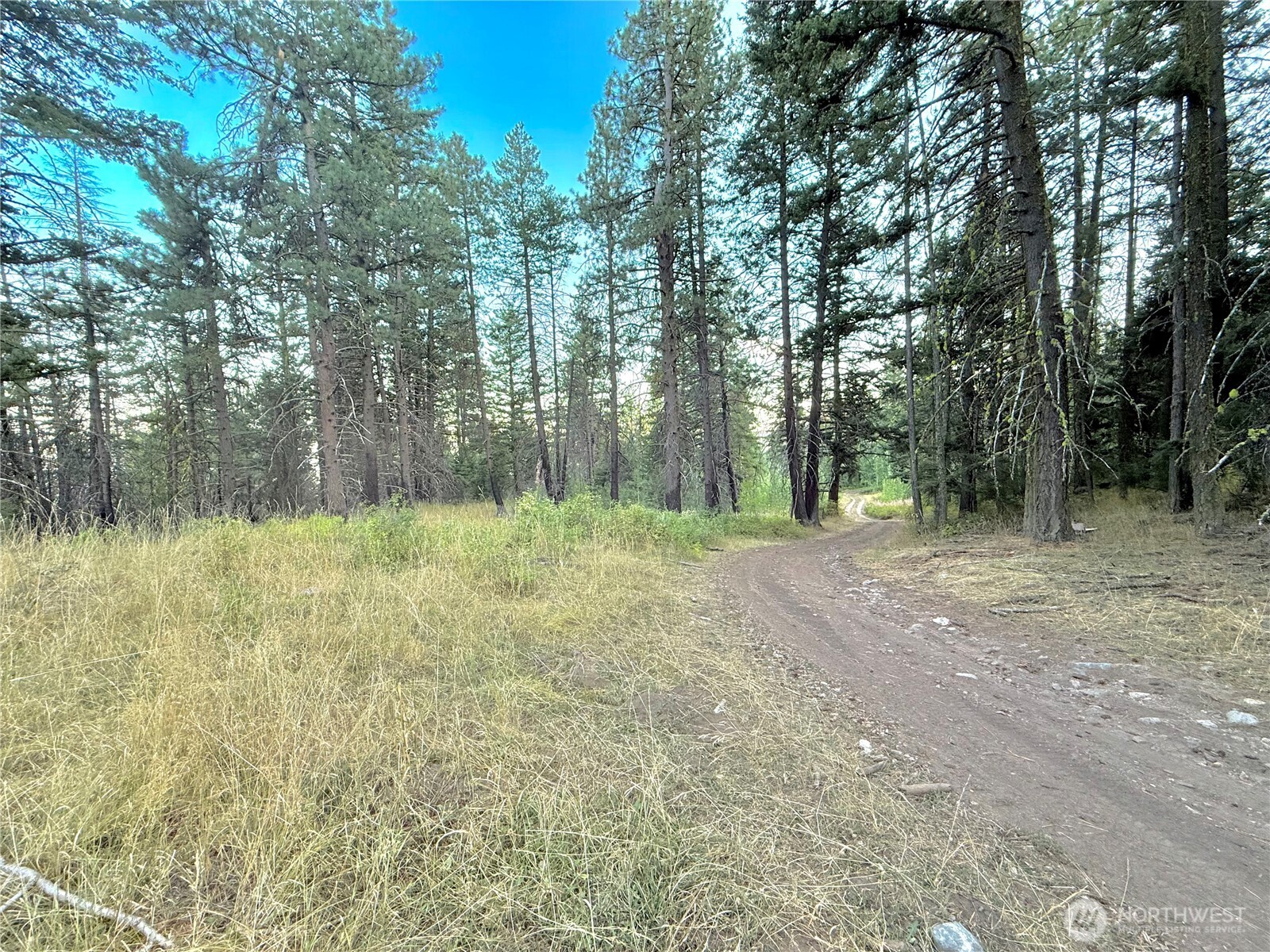0 Tbd Buzzard Lake Road Property Photo 21