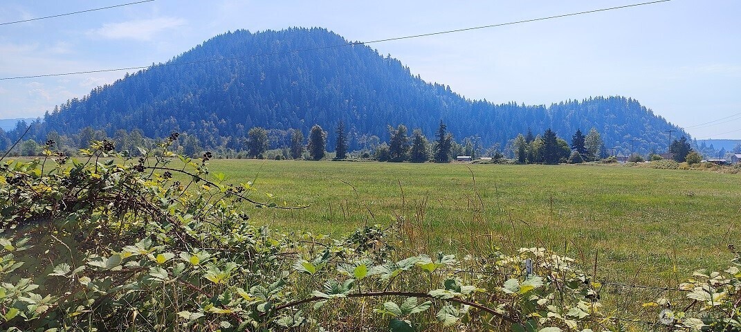 46502 268th Avenue Property Photo 1