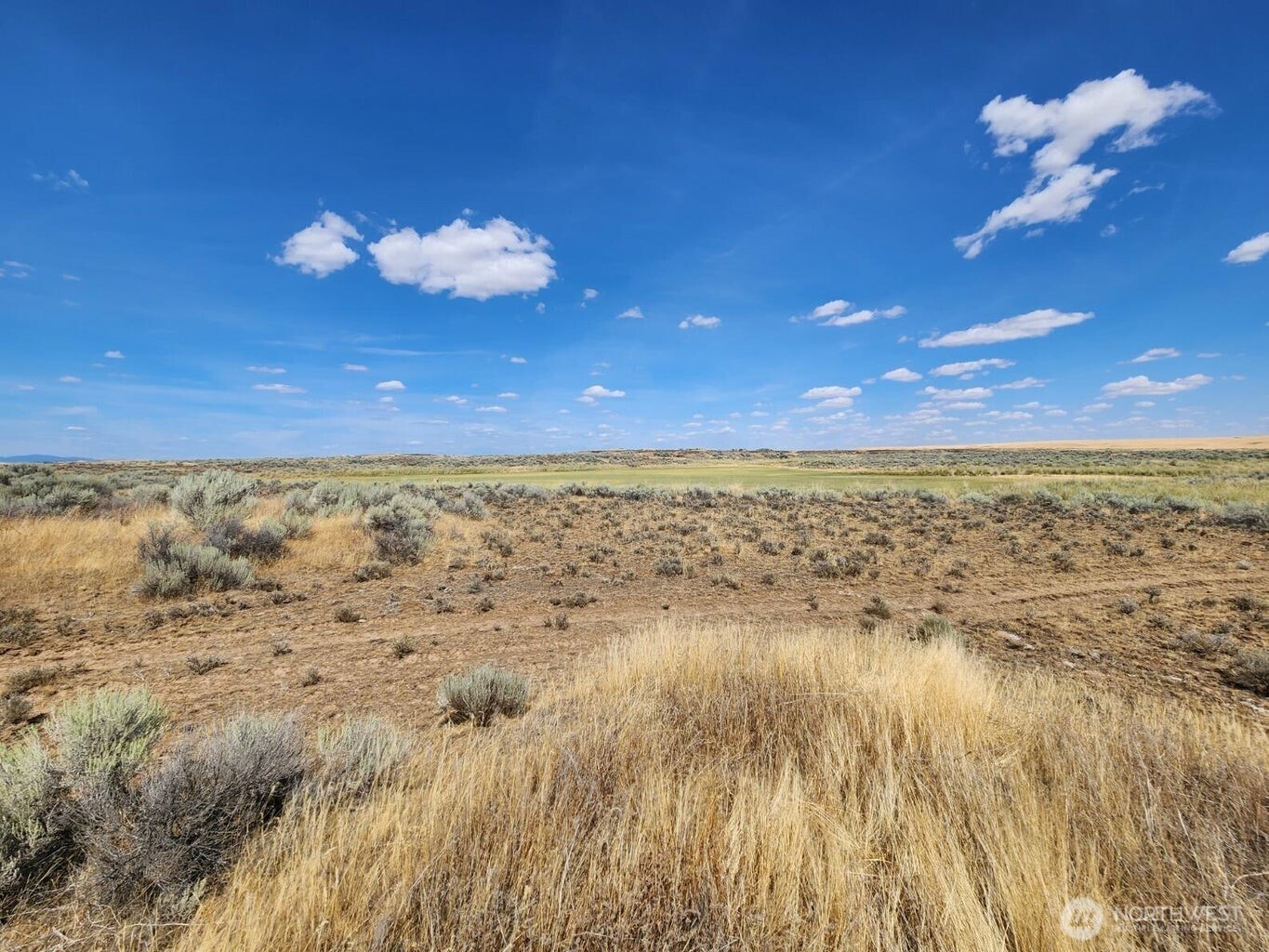 0 Earl Road Property Photo 6