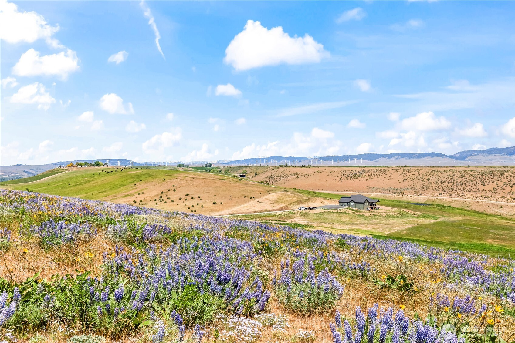 18 Sundance Lane Property Photo 3