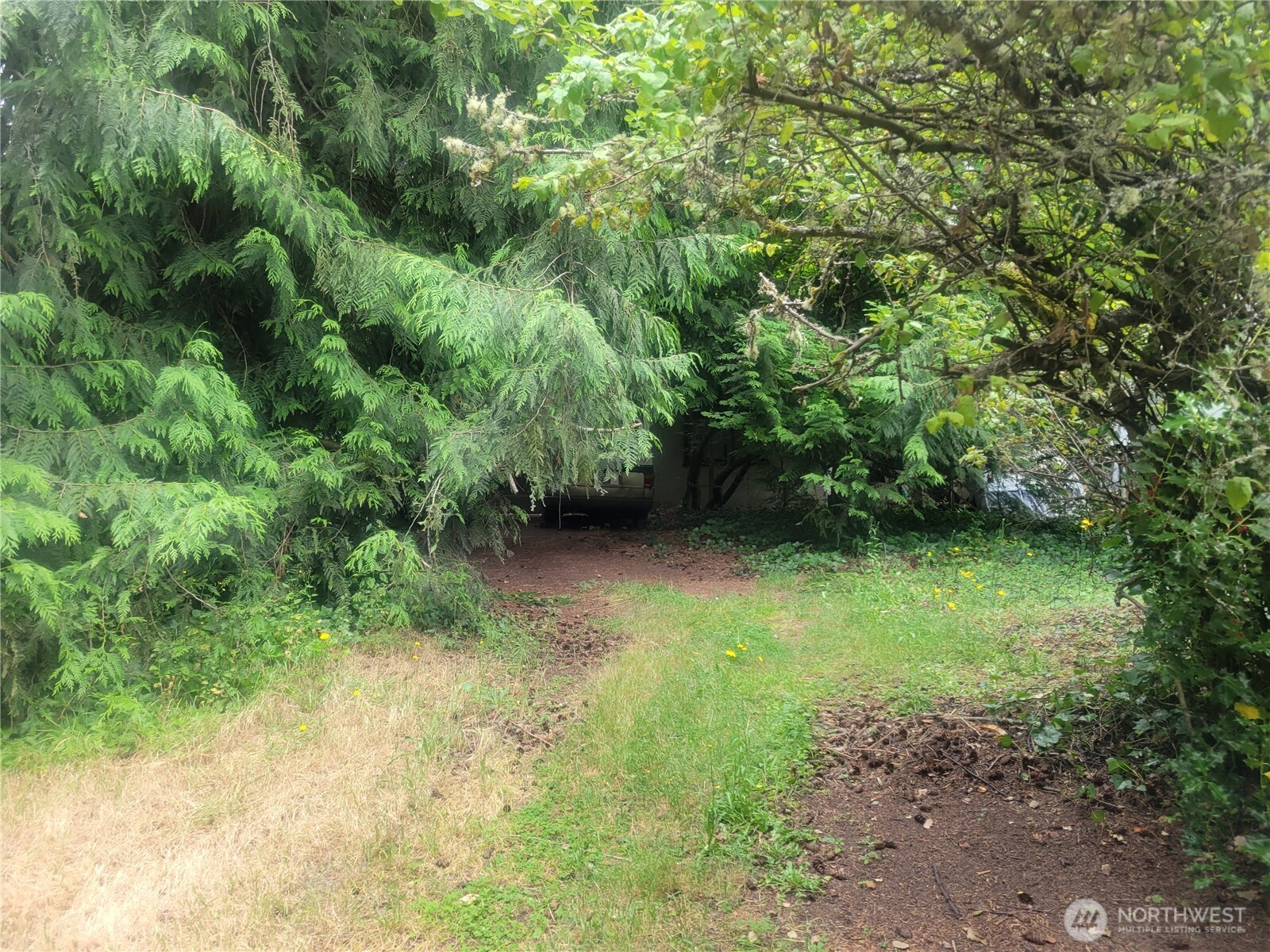 1818 Jackson Drive Property Photo 2