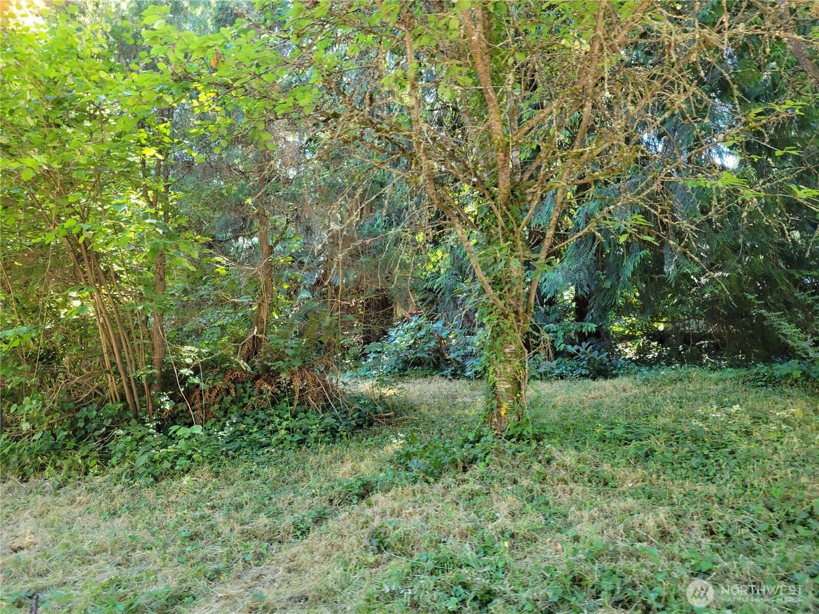 1818 Jackson Drive Property Photo 4