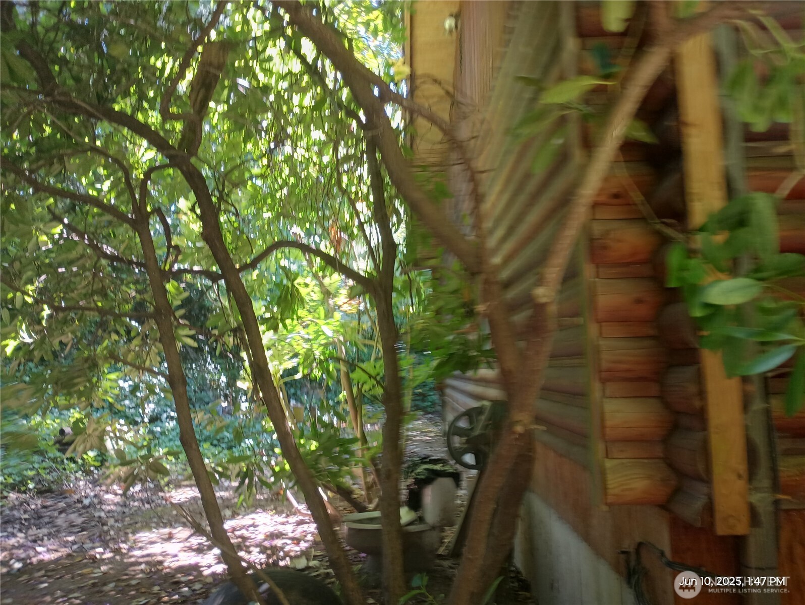 1818 Jackson Drive Property Photo 7