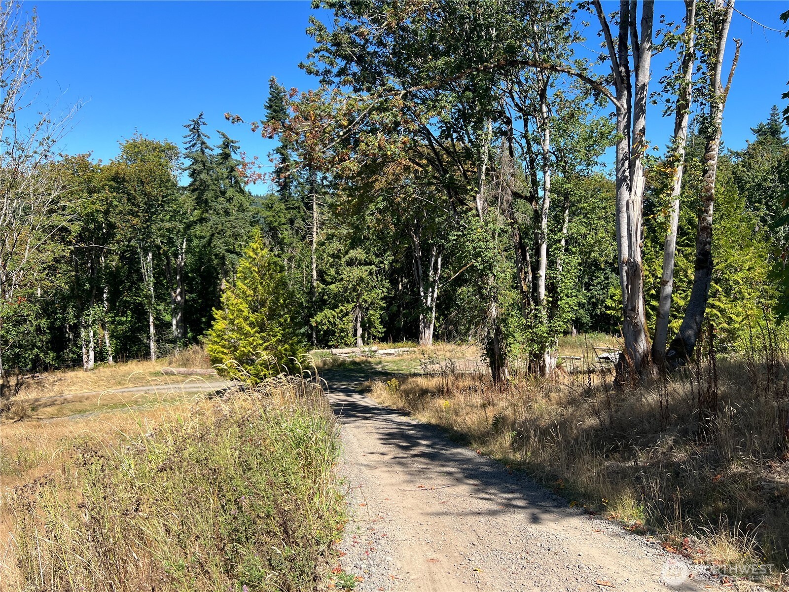 480 Highway 20 Property Photo 4