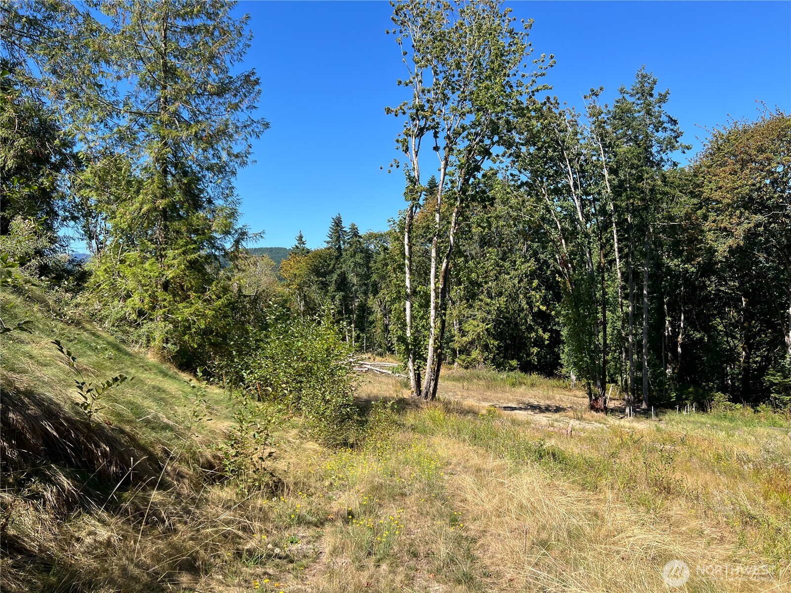 480 Highway 20 Property Photo 6