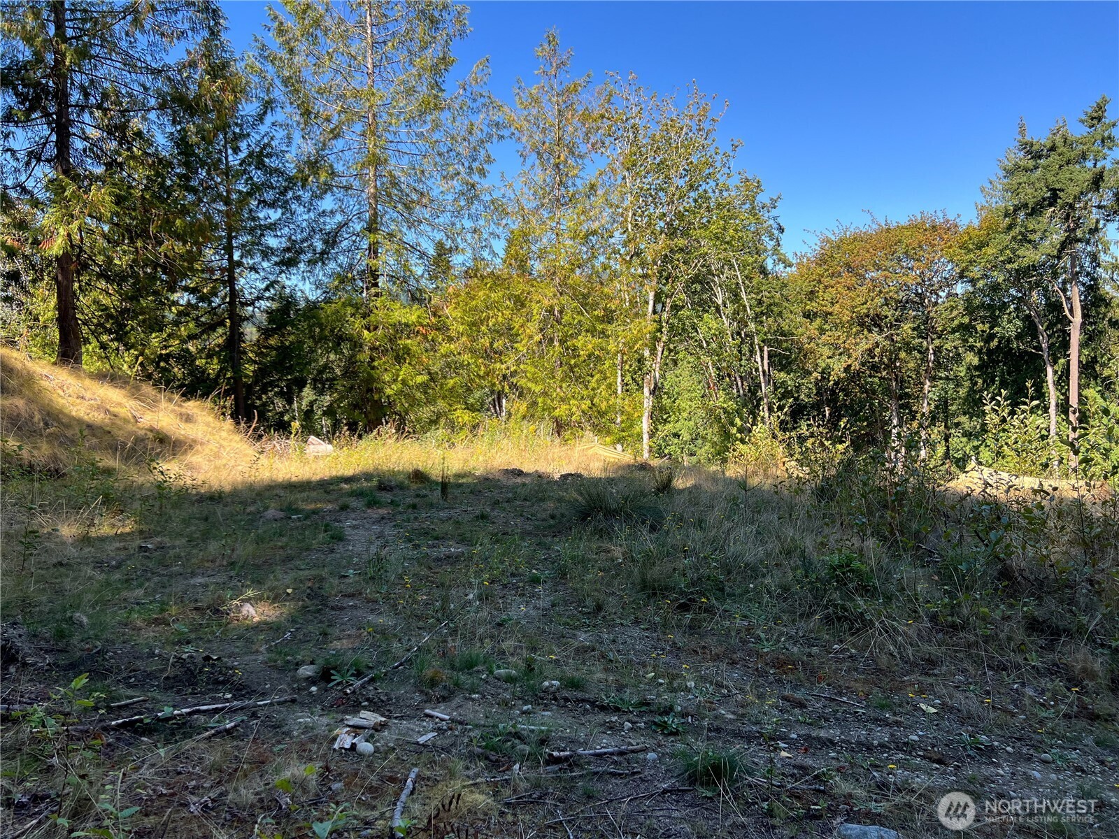 480 Highway 20 Property Photo 7